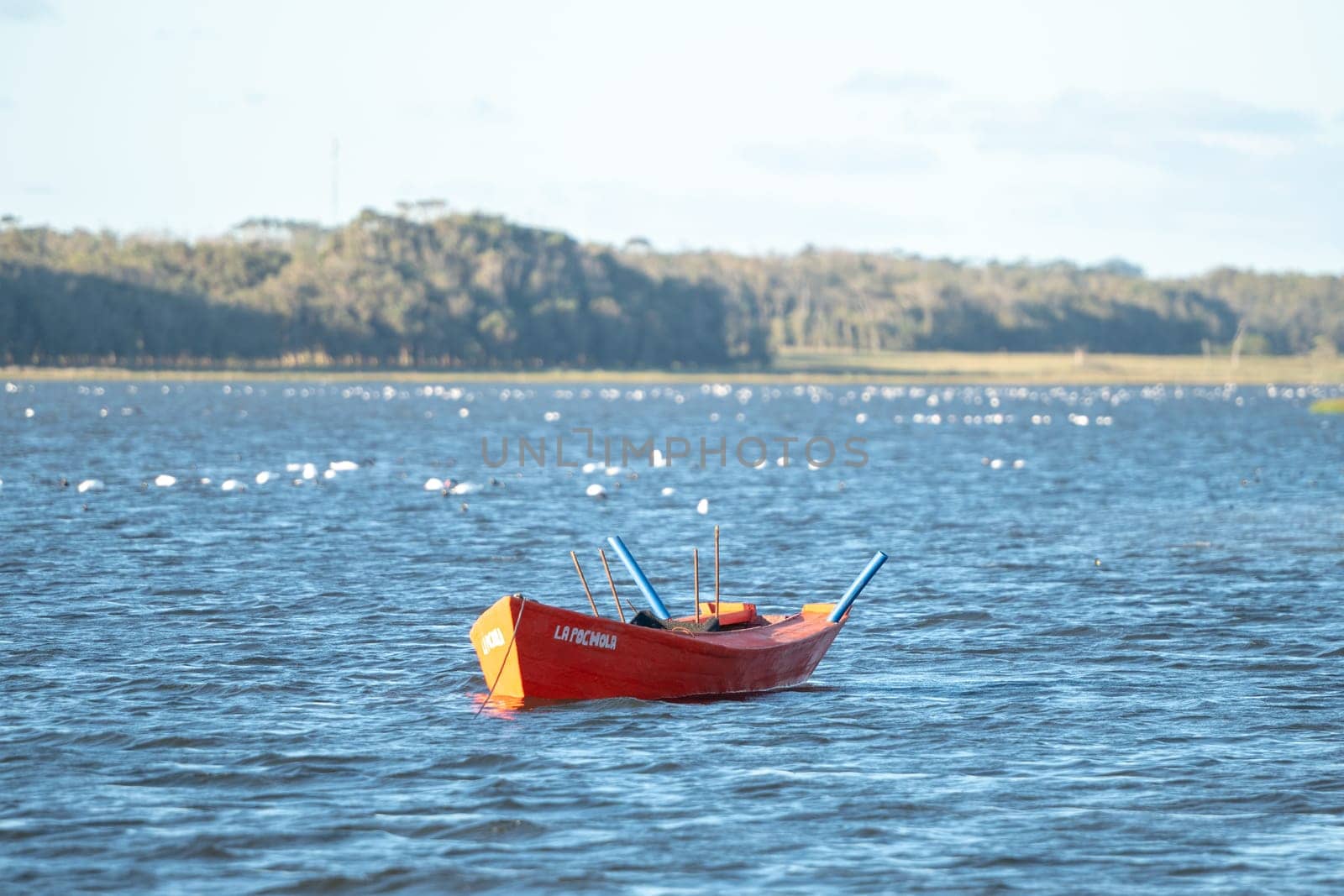 Laguna de Rocha, Uruguay : 2023 May 29 : Fishing boat in the Laguna de Rocha in La Paloma in the protected area in Uruguay.