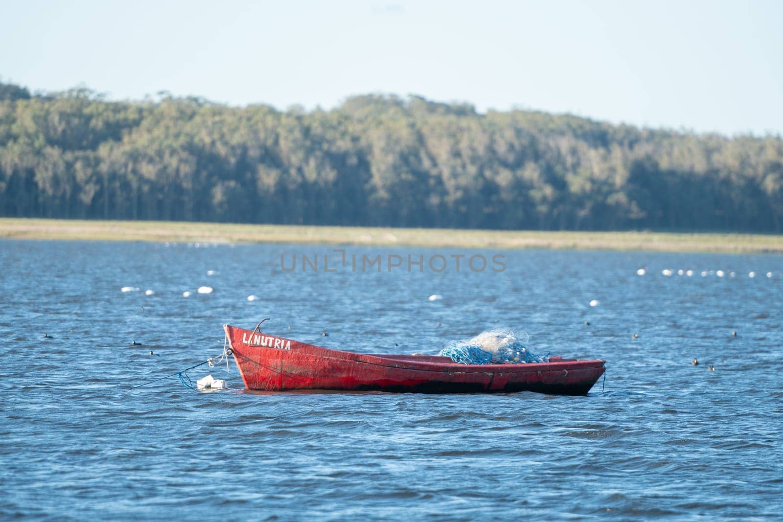 Fishing boat in the Laguna de Rocha in La Paloma in the protected area in Uruguay. by martinscphoto