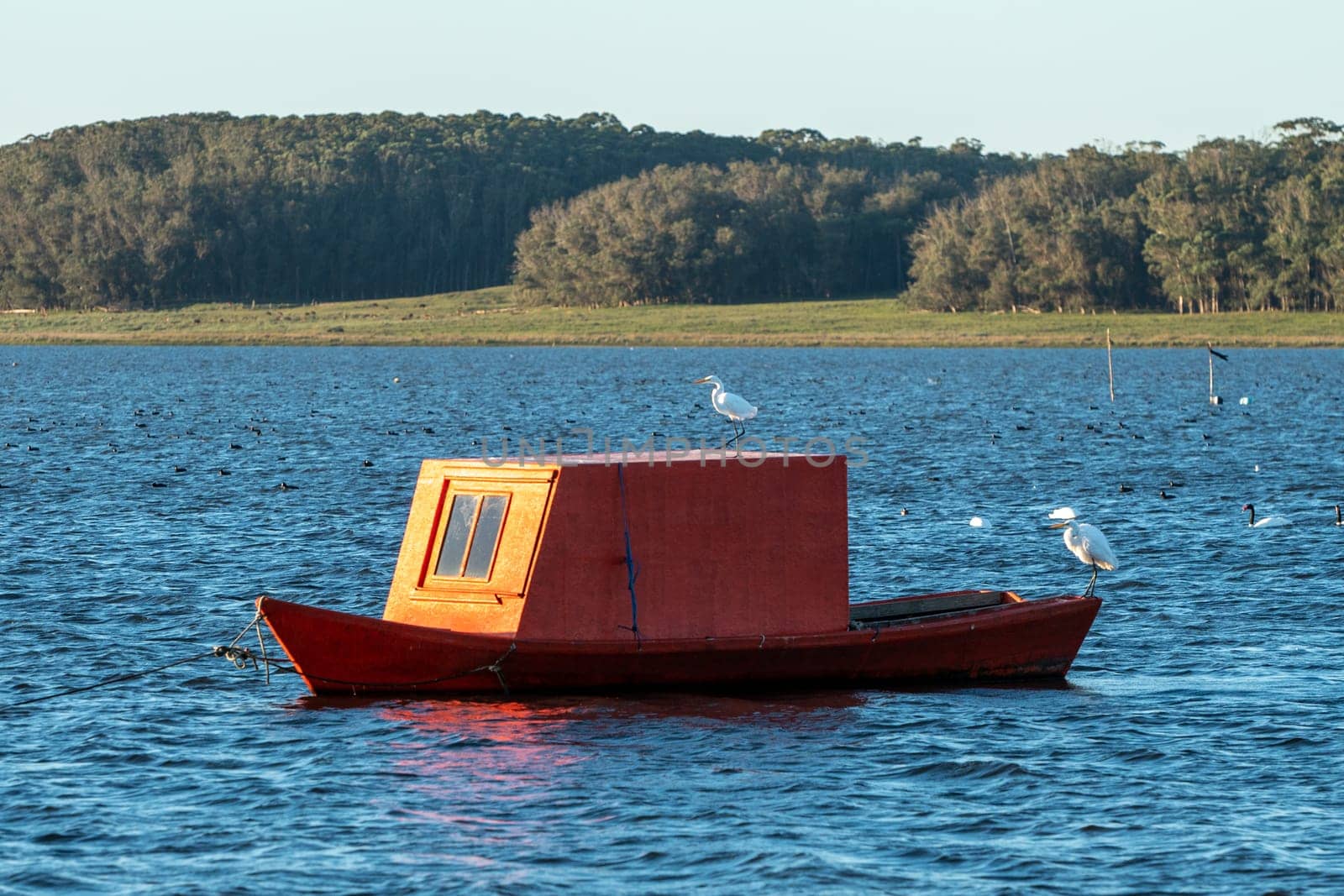 Laguna de Rocha, Uruguay : 2023 May 29 : Fishing boat in the Laguna de Rocha in La Paloma in the protected area in Uruguay.