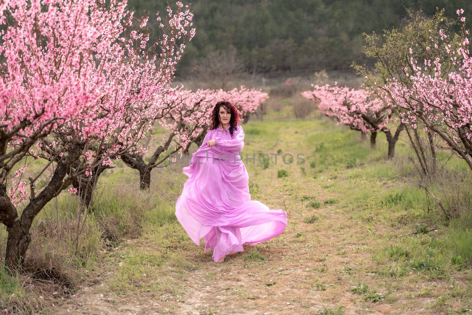 woman blooming peach orchard. A woman in a long pink dress walks in the park, in a peach orchard. Large blooming peach orchard. by Matiunina