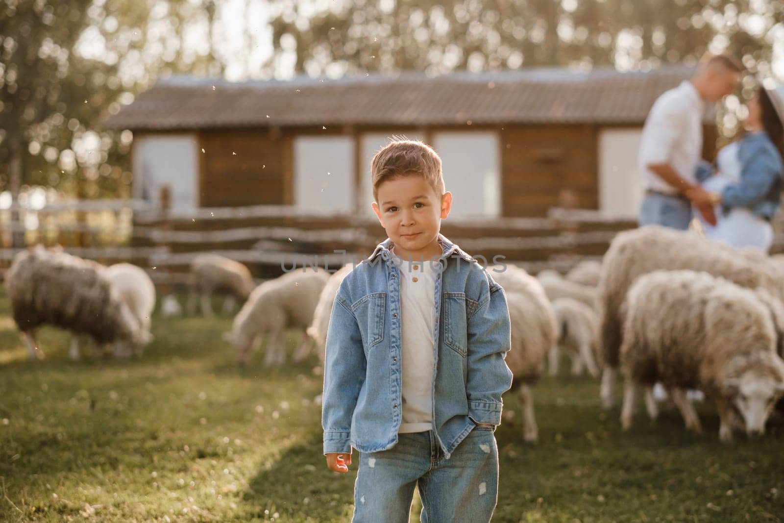 Stylish family in summer on a village farm with sheep by Lobachad