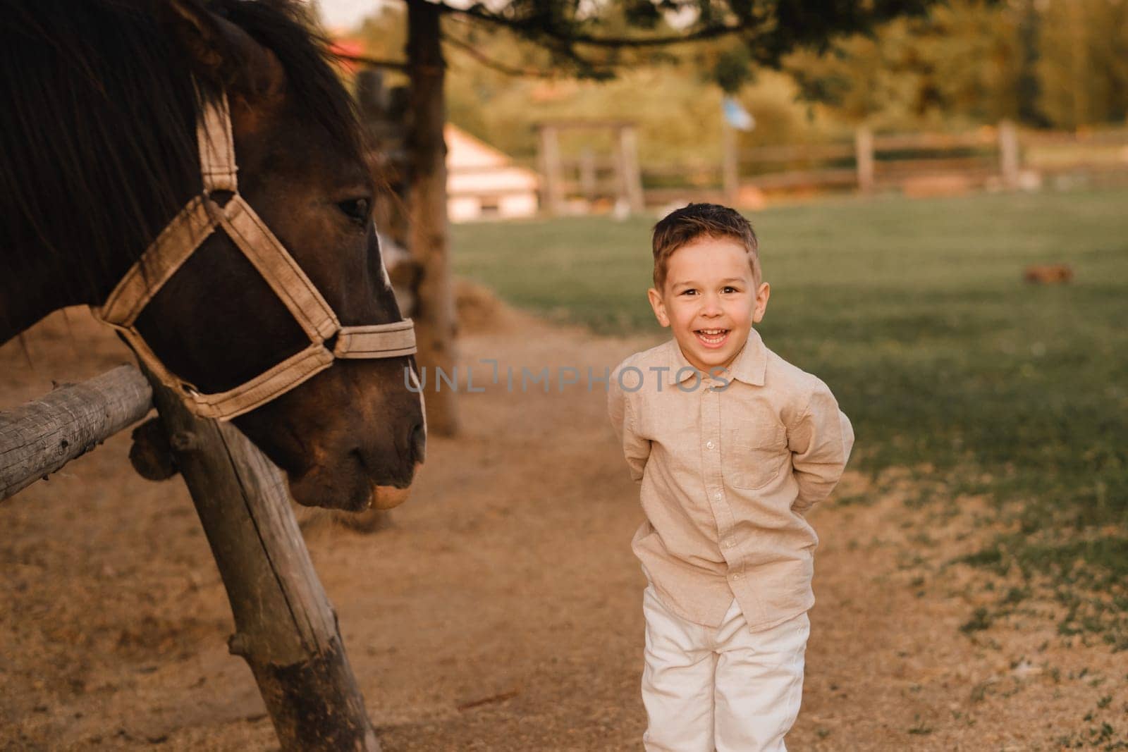 a little boy in the evening at the farm next to a horse by Lobachad