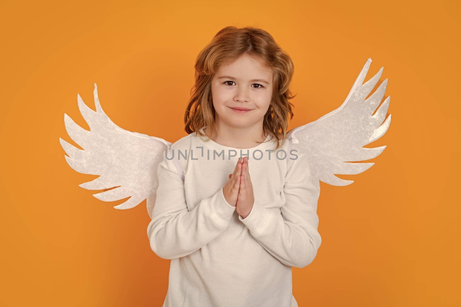 Christmas kids. Little cupid angel child with wings. Studio portrait of angelic kid