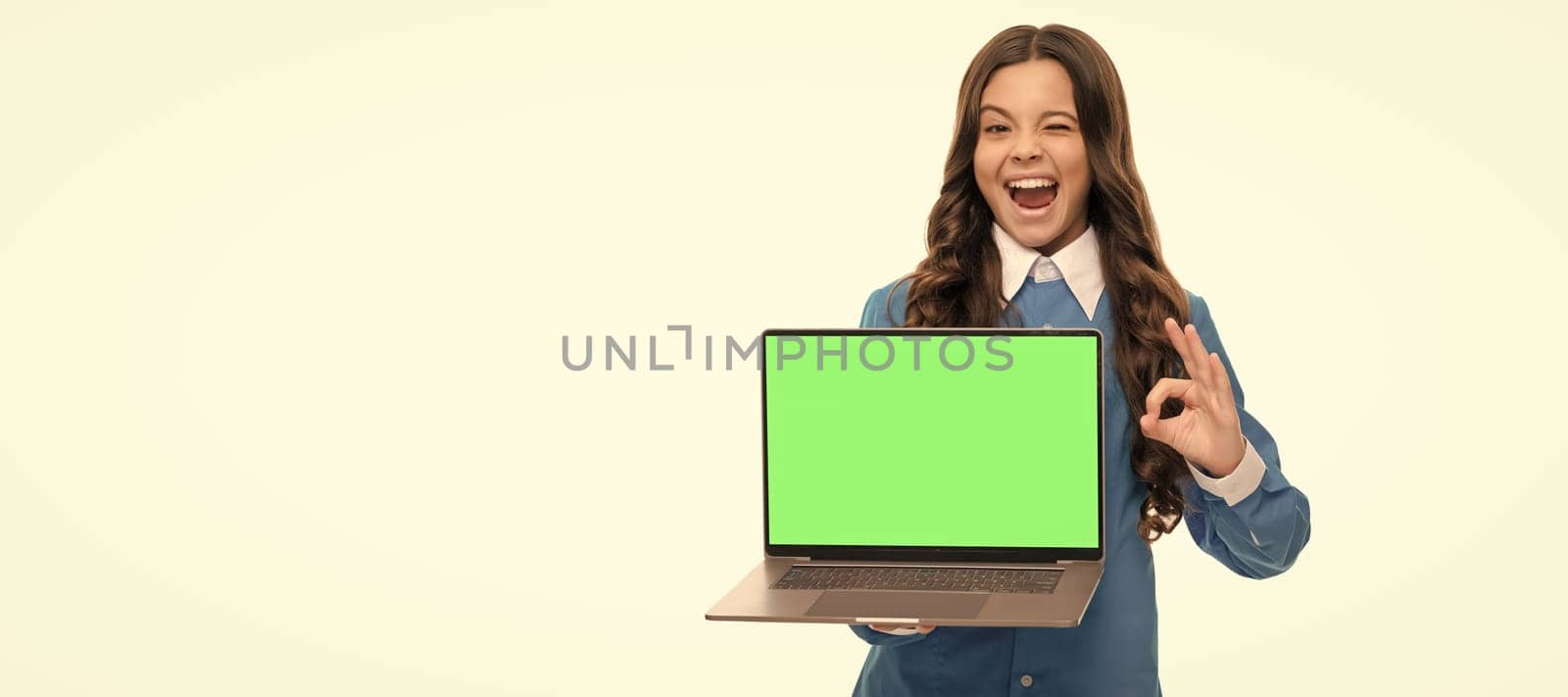 winking child long curly hair showing presentation on laptop screen isolated on white, ok. School girl portrait with laptop, horizontal poster. Banner header with copy space. by RedFoxStudio