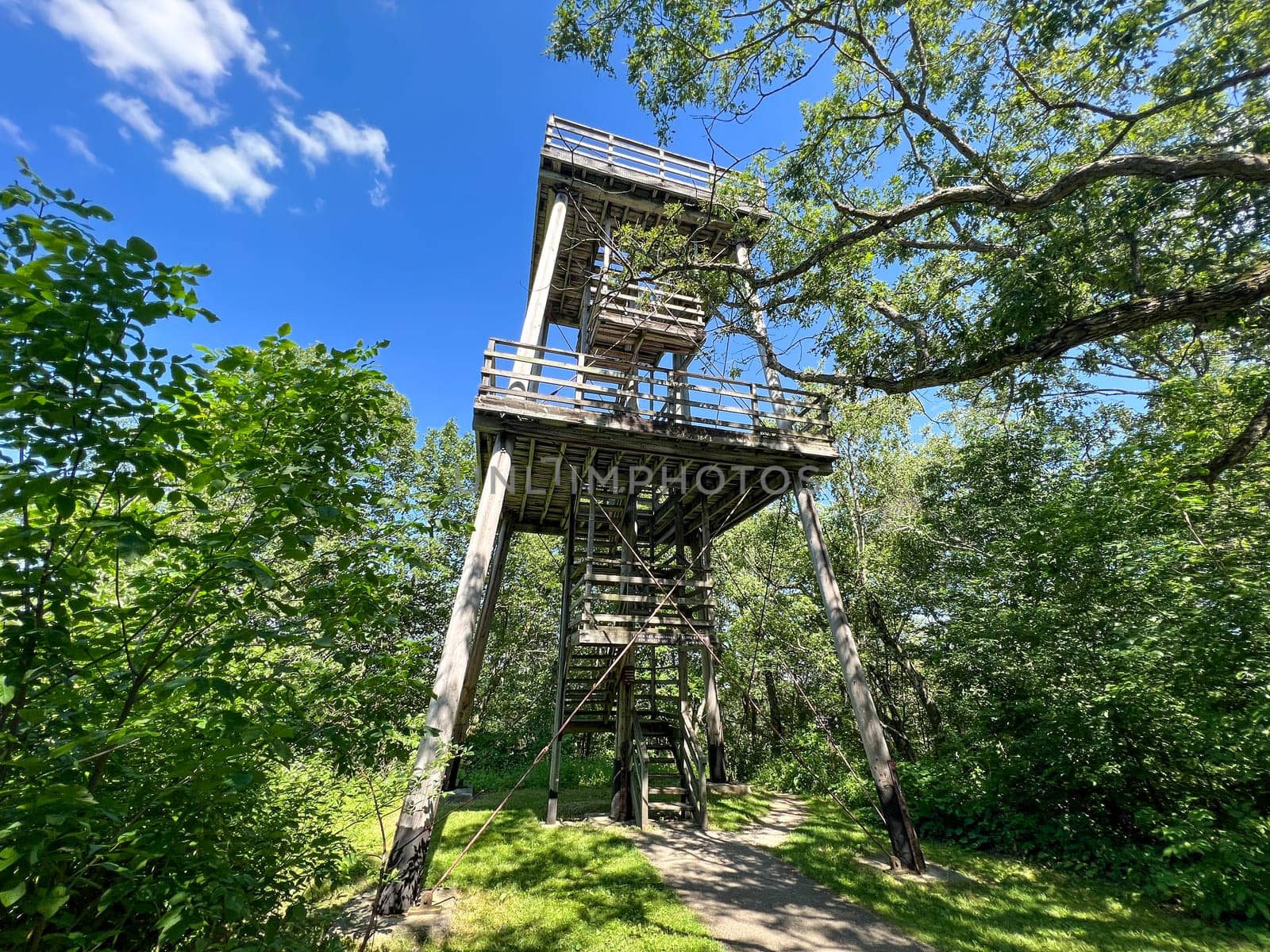 Blue mounts state park viewing tower in the middle of the forest by WeWander