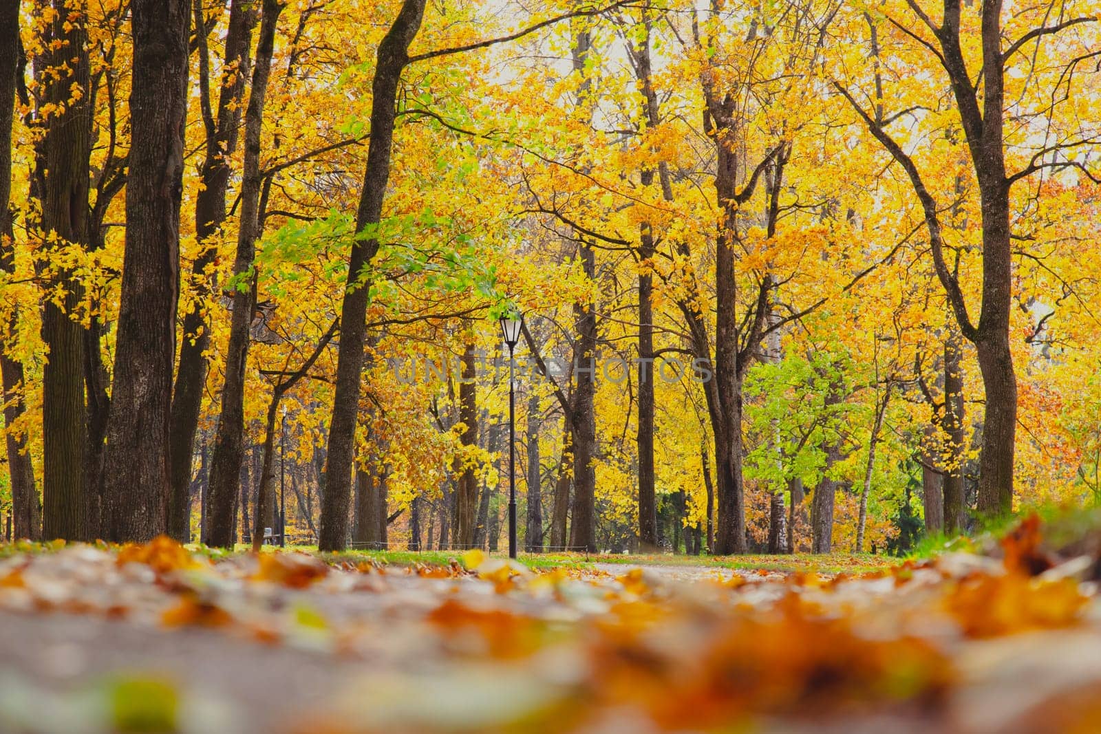 Autumn park landscape . Golden autumn in the city park. Photos on the calendar. Season. September, October, November