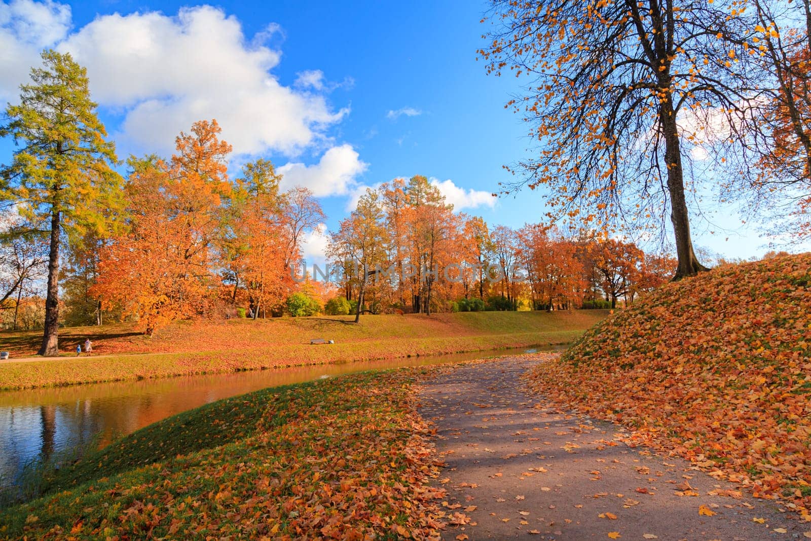 Autumn park landscape . Golden autumn in the city park. Photos on the calendar. Season. by alenka2194