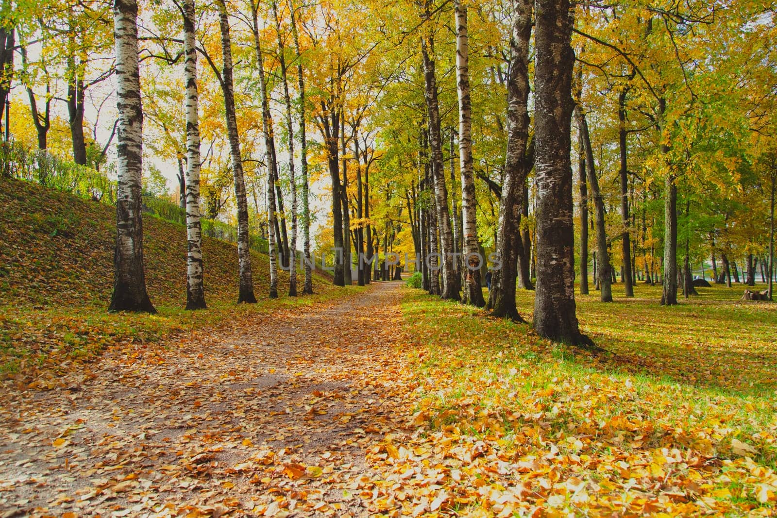 Autumn park landscape . Golden autumn in the city park. Photos on the calendar. Season. by alenka2194