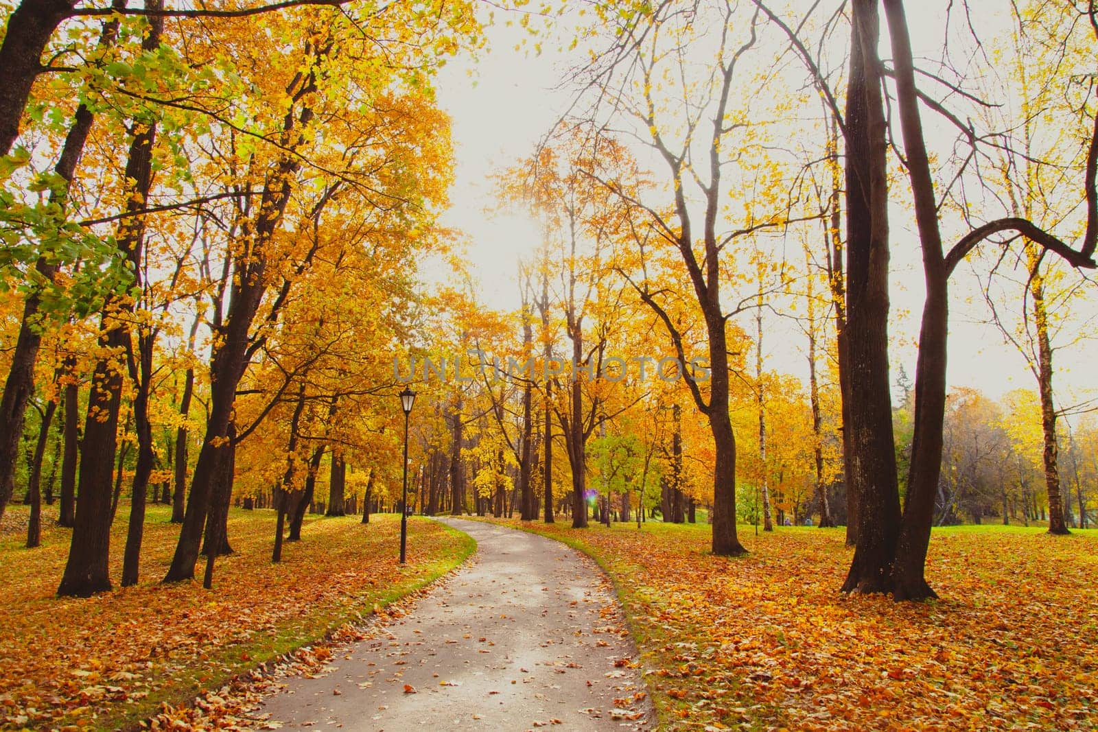Autumn park landscape . Golden autumn in the city park. Photos on the calendar. Season. by alenka2194