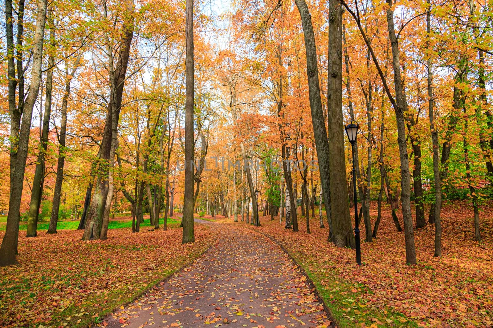 Autumn park landscape . Golden autumn in the city park. Photos on the calendar. Season. September, October, November