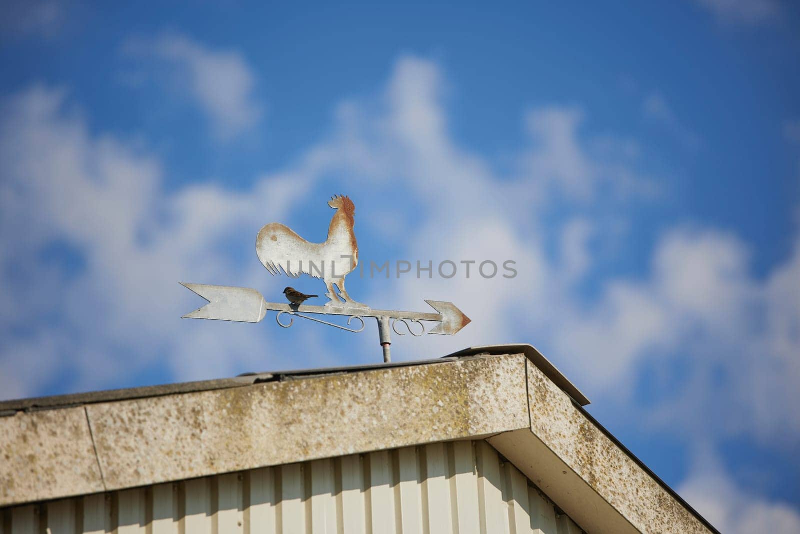 Antique weather vane on the roof of a farm in Denmark by Viktor_Osypenko