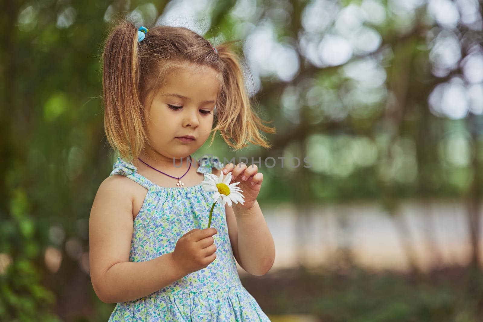 charming child in sundress tearing off flower petals while playing - loves or dislike