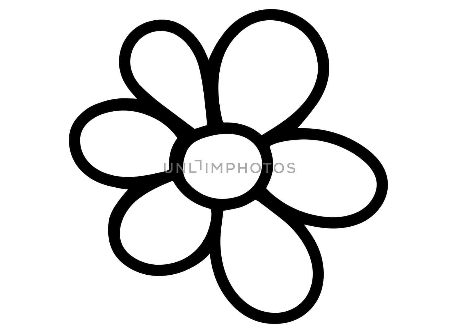 Printable Coloring Page for Kids. Black and White Daisy Flower Isolated Illustration. Coloring Book with
