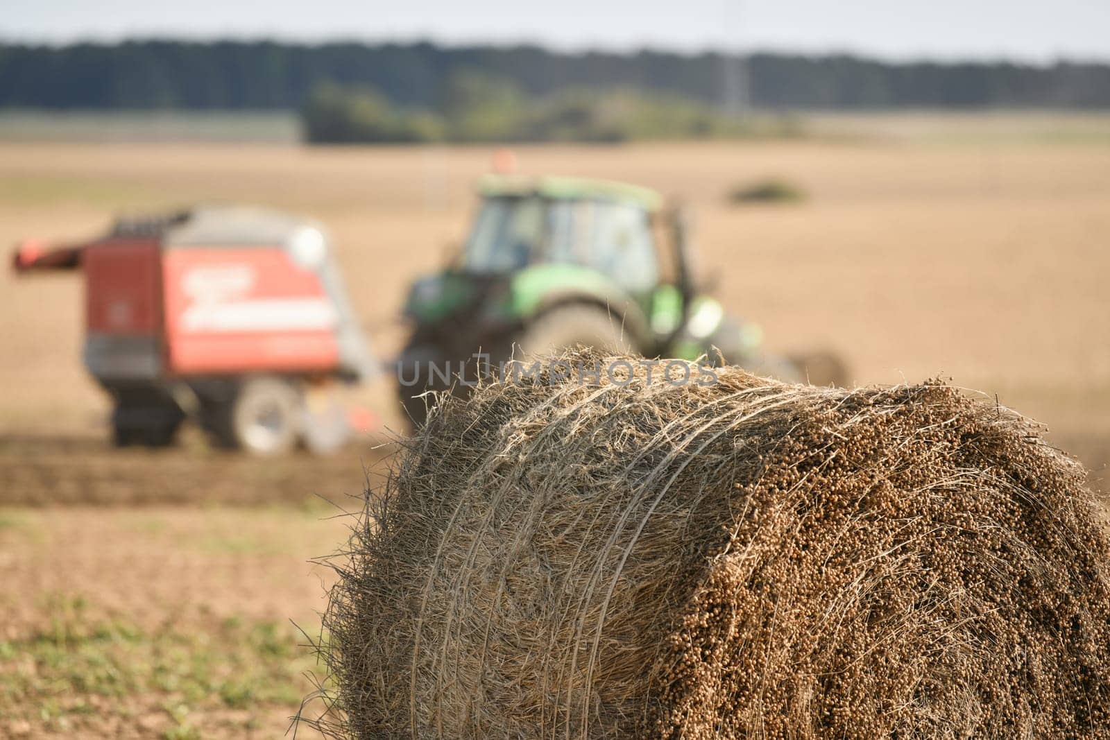 Tractor cleans the field with flax and makes bales