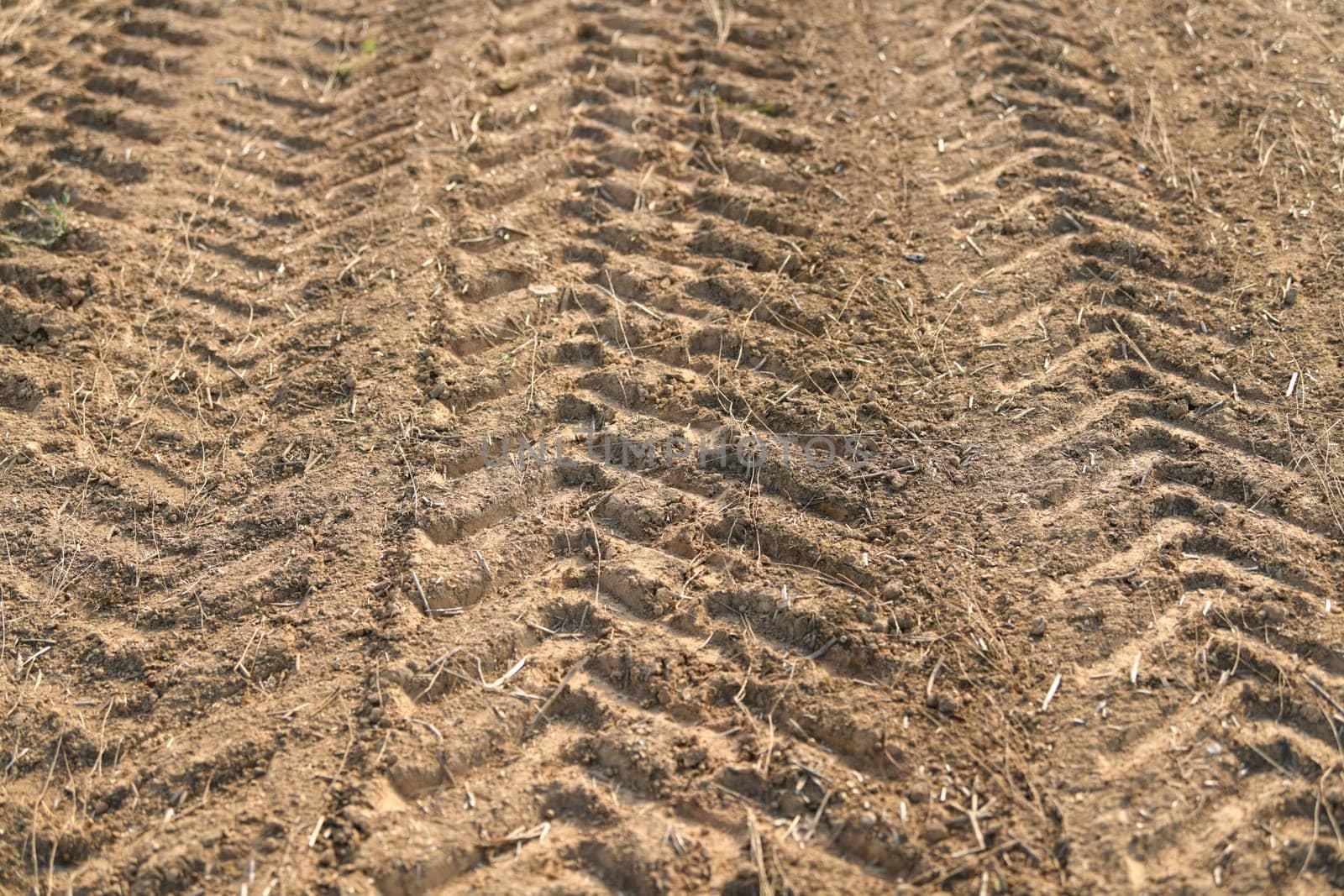 Traces of a tractor after harvesting flax