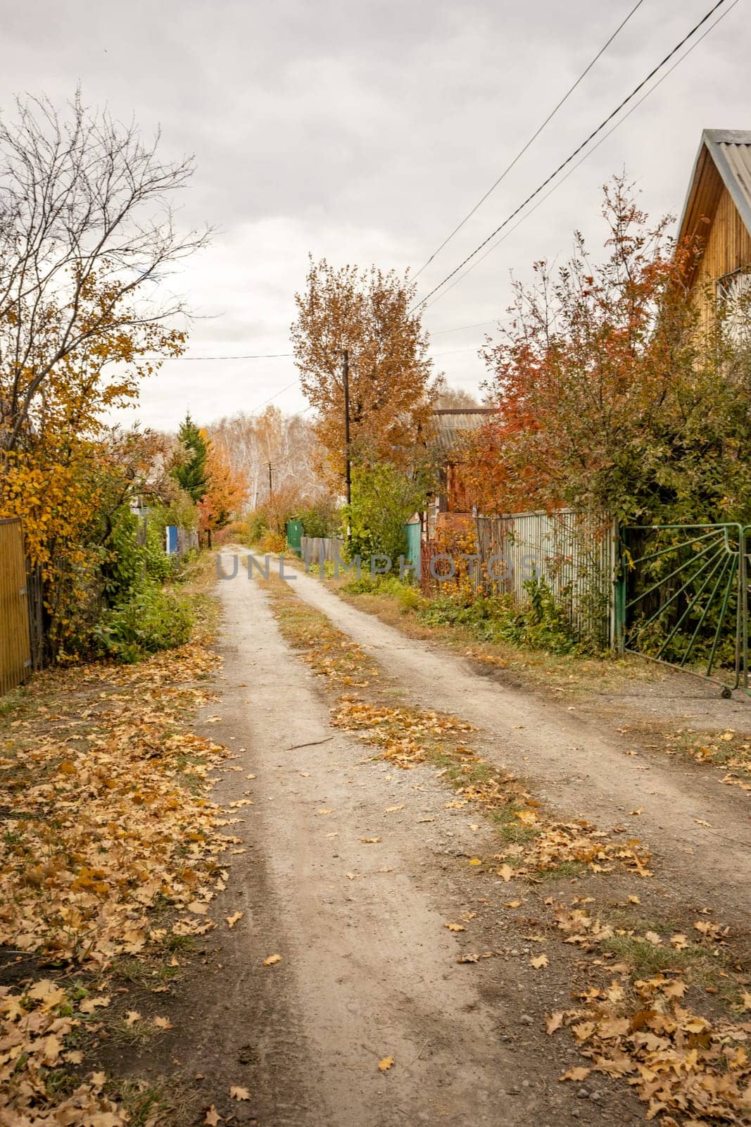 Rural road and fence, along village houses, with fallen autumn leaves and pillars, autumn landscape.