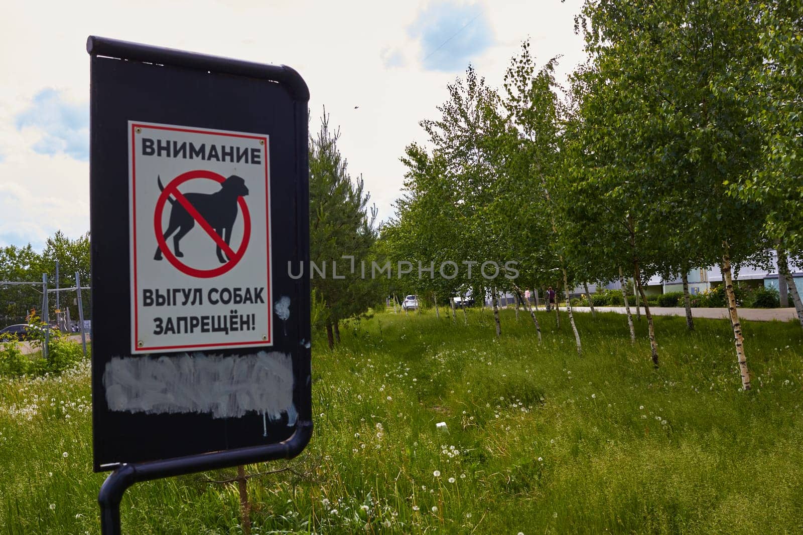 Photograph sign sign dog walking is prohibited. by electrovenik