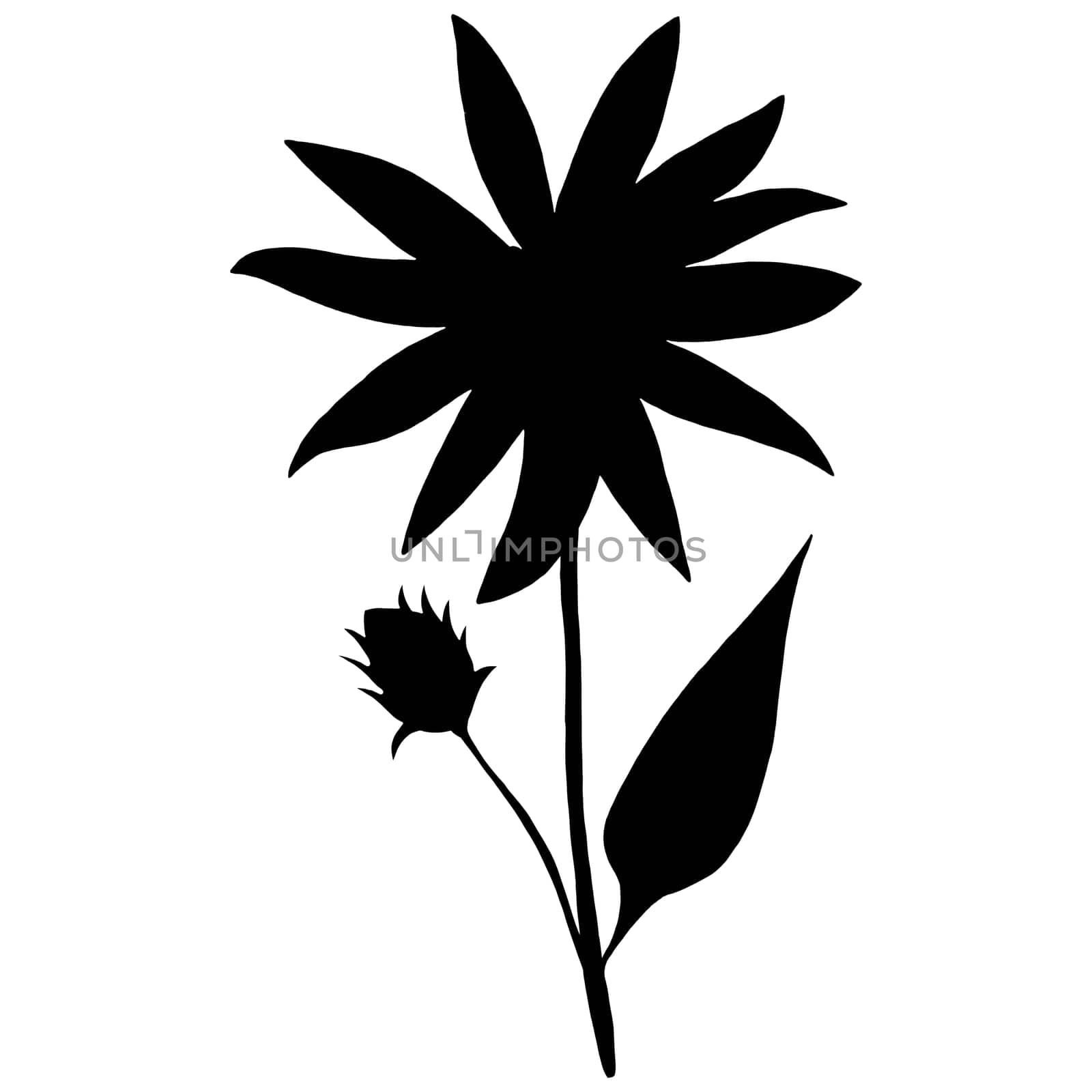 Hand Drawn Flower Silhouette. Black Floral Illustration. Plant Silhouette Isolated on White Background.