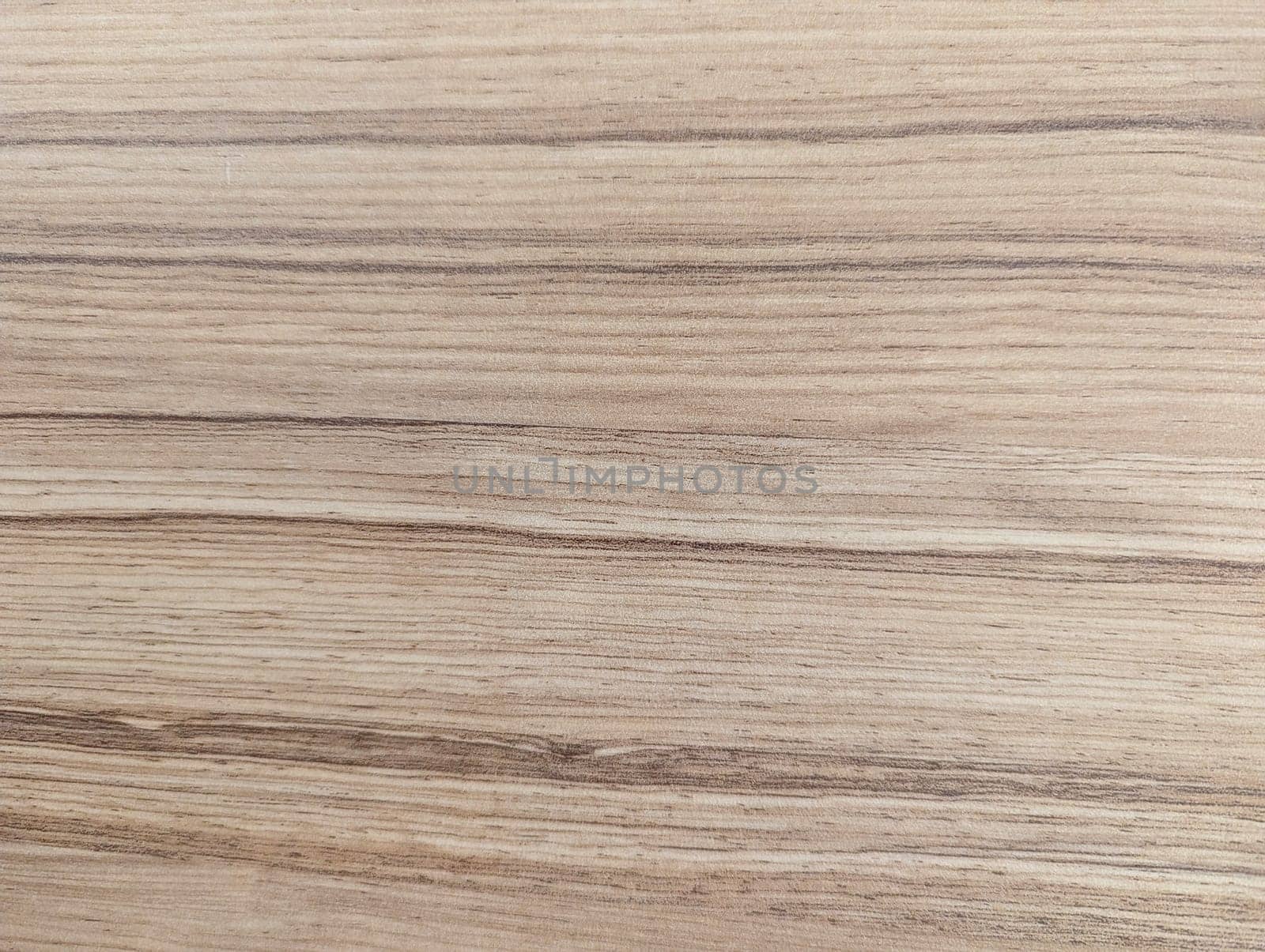 plain wood texture. wood pattern.