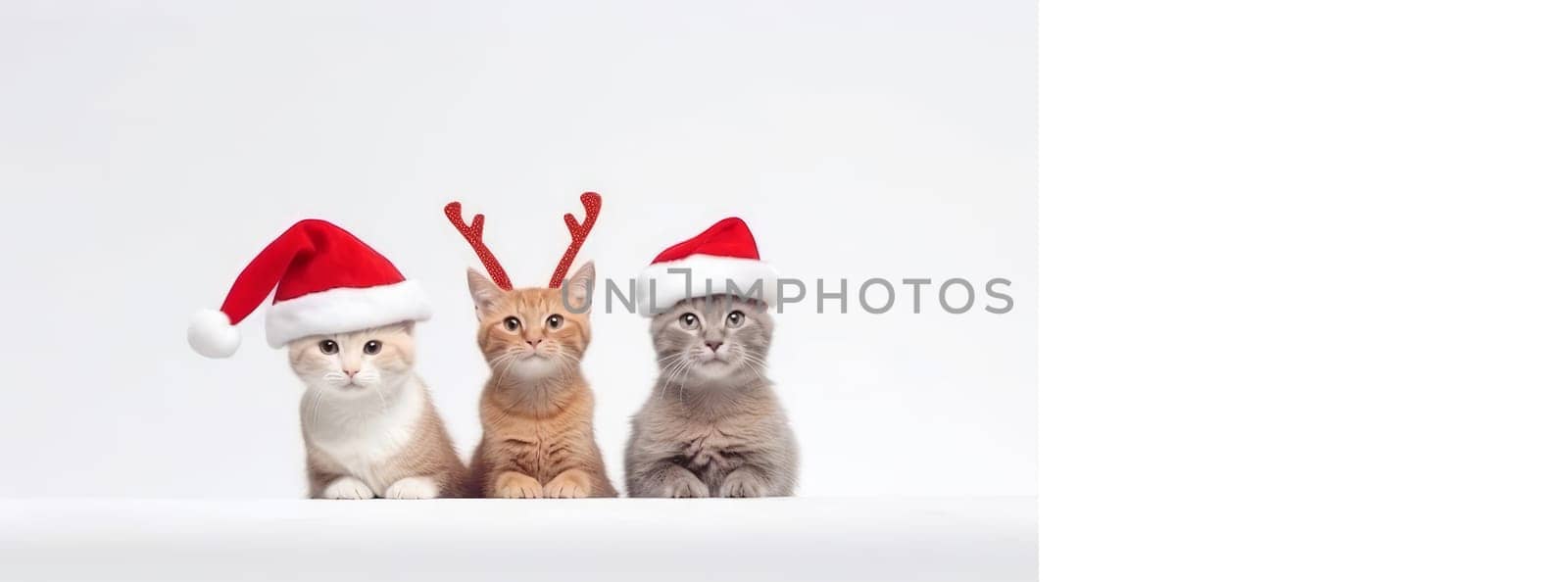 Cats and kittens celebrating the Christmas holidays in a red santa claus hat, reindeer antlers and a red gift ribbon on a white background. AI generated. by Alla_Yurtayeva