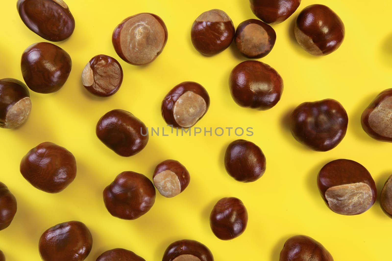 Top down view, horse chestnuts over yellow board.