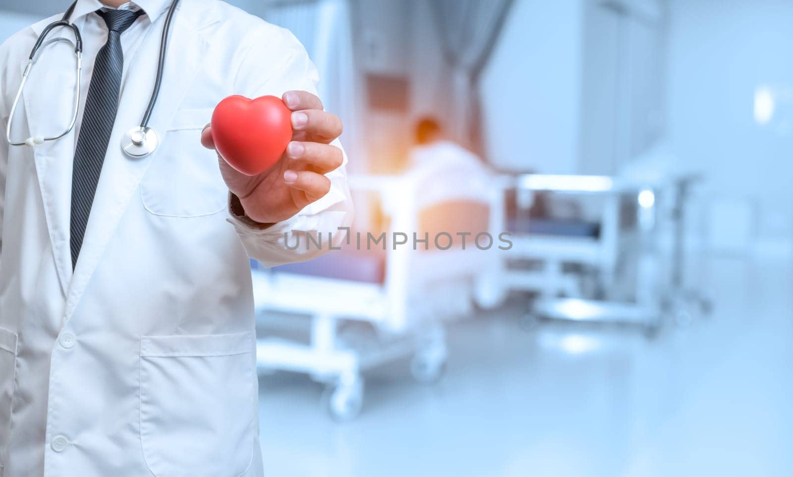 Doctor in lab coat showing red heart on background inside hospital. Medical concept. Medical information search concept. The concept of treating disease. Insurance concept.