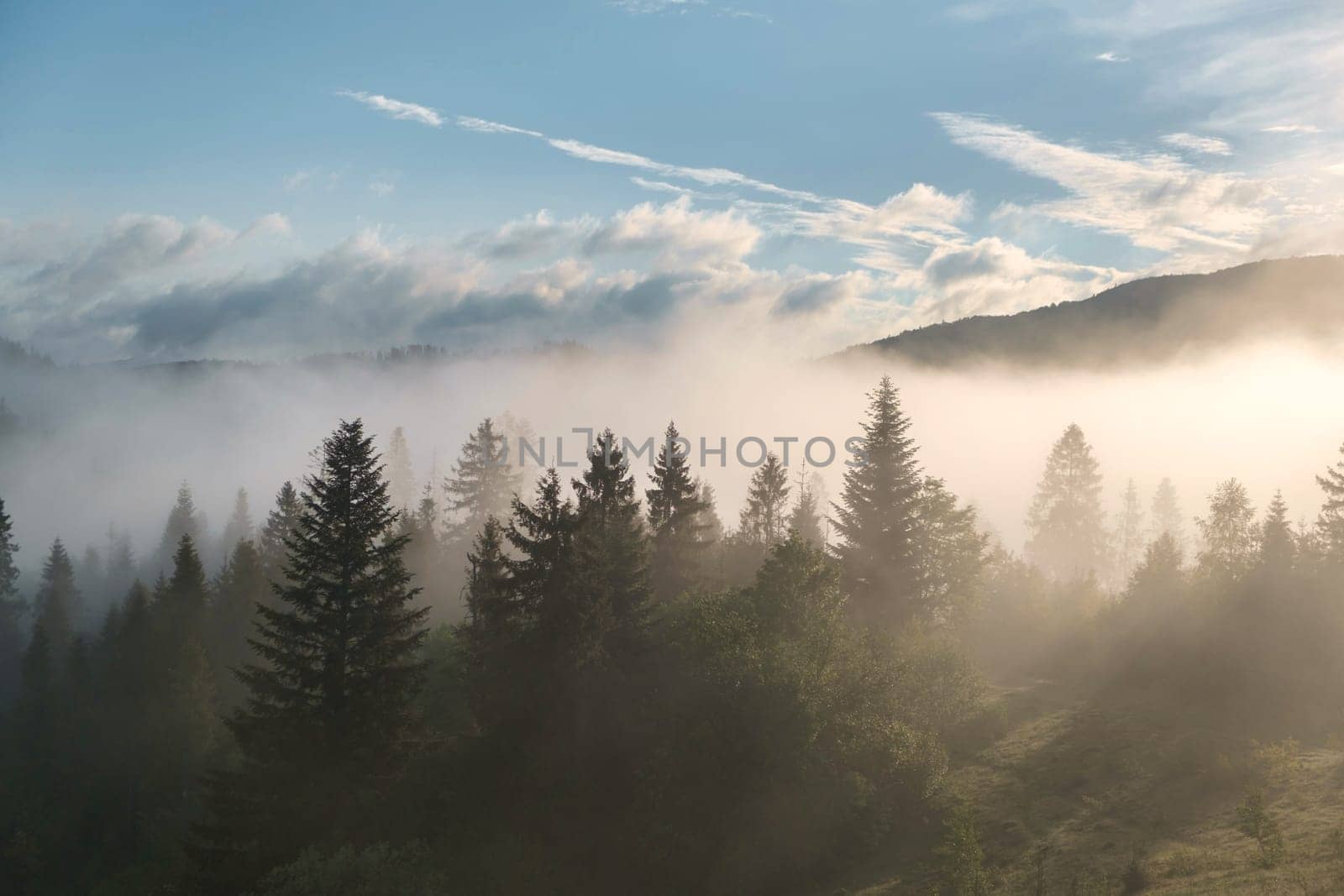 misty morning in the mountains. beautiful misty forest morning in the mountains. by igor010