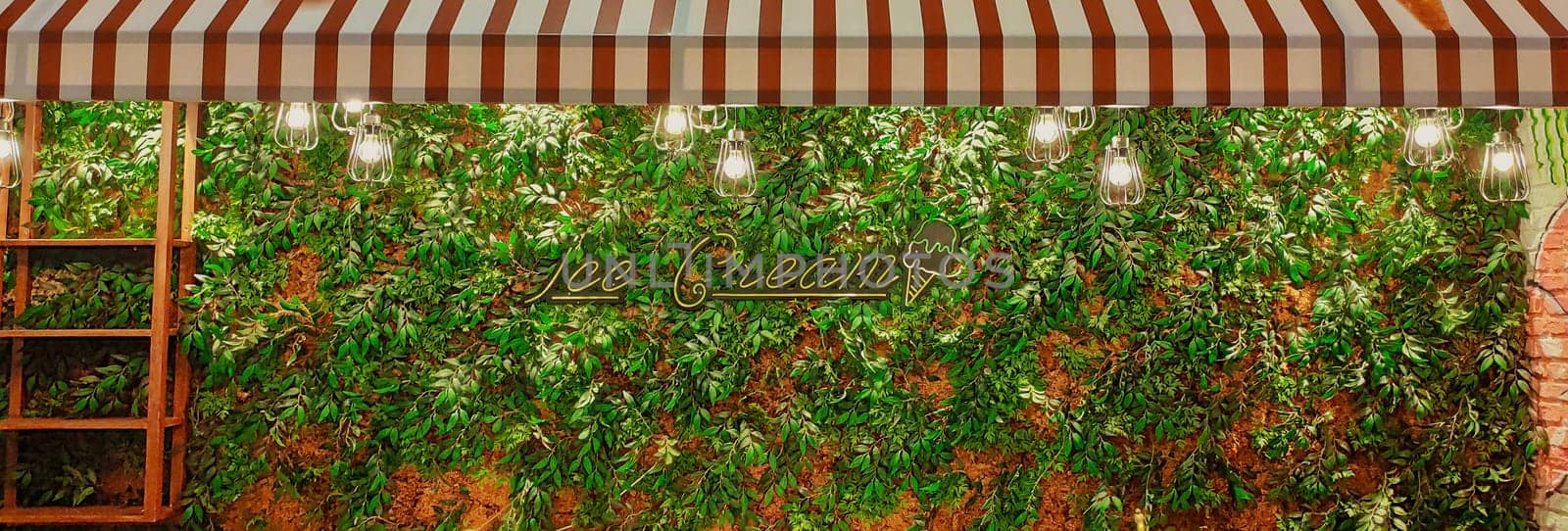 Green leaves texture. Beautiful Decorative Wall of leaves with text ice cream. Shop Decor background. download photo