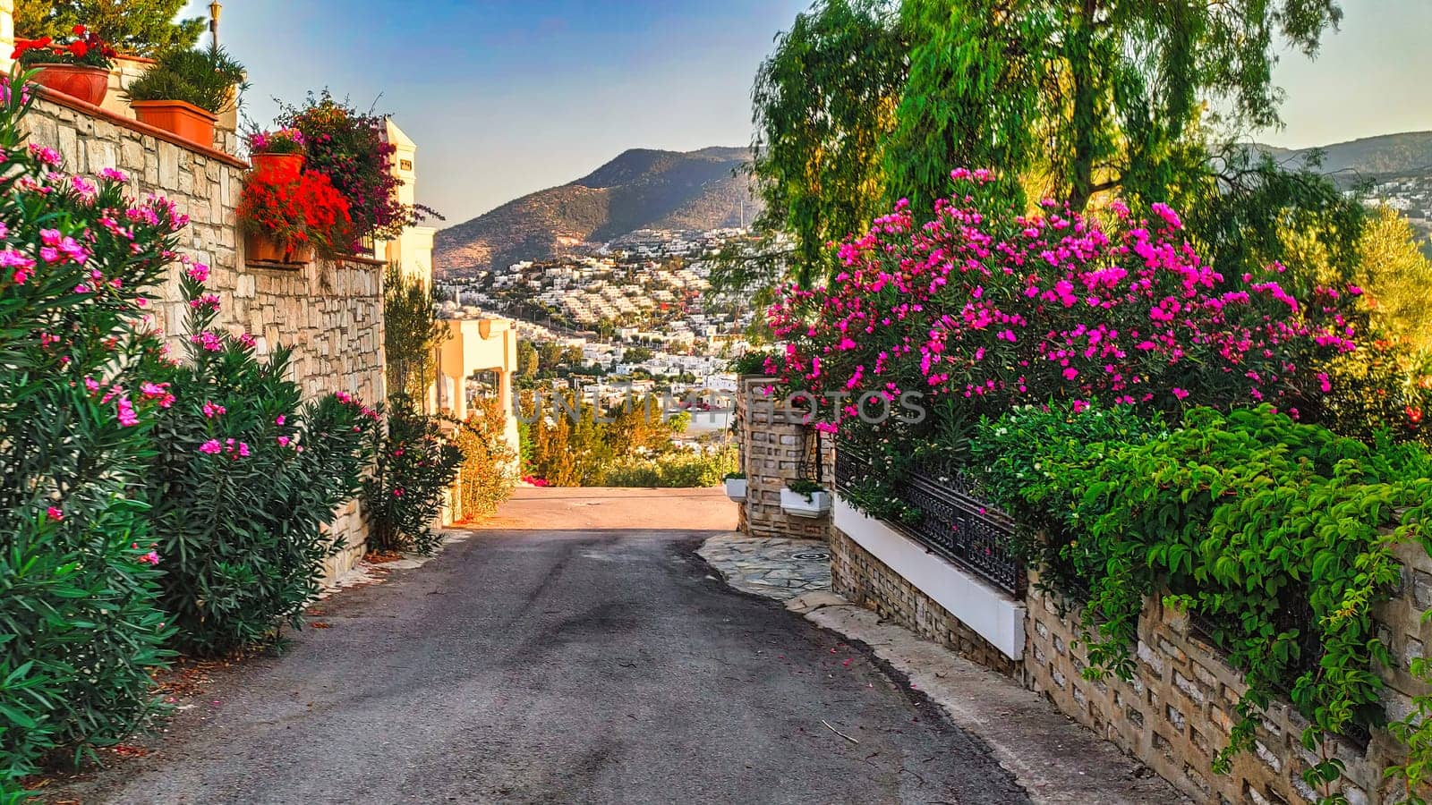 Beautiful view of scenic road with historic traditional houses on street in an old town in Europe in summer. download photo