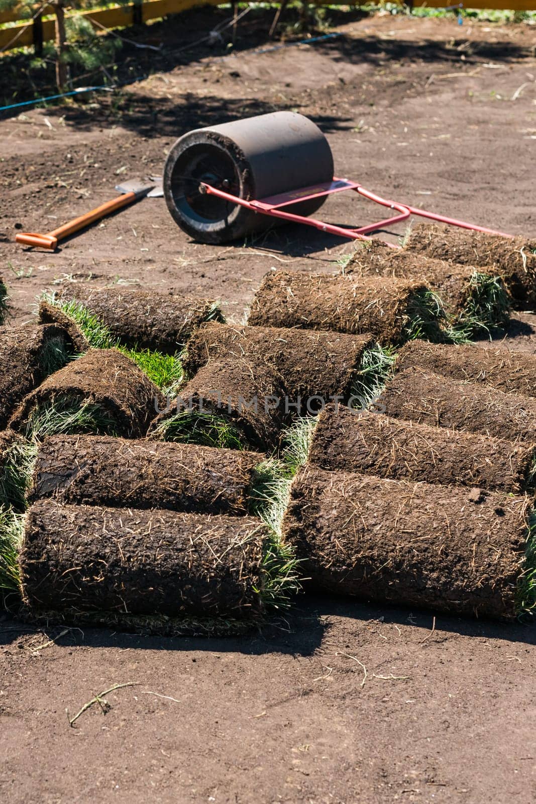 Rolls of lawn grass on sunny day - country house and landscape turf laying design by Satura86