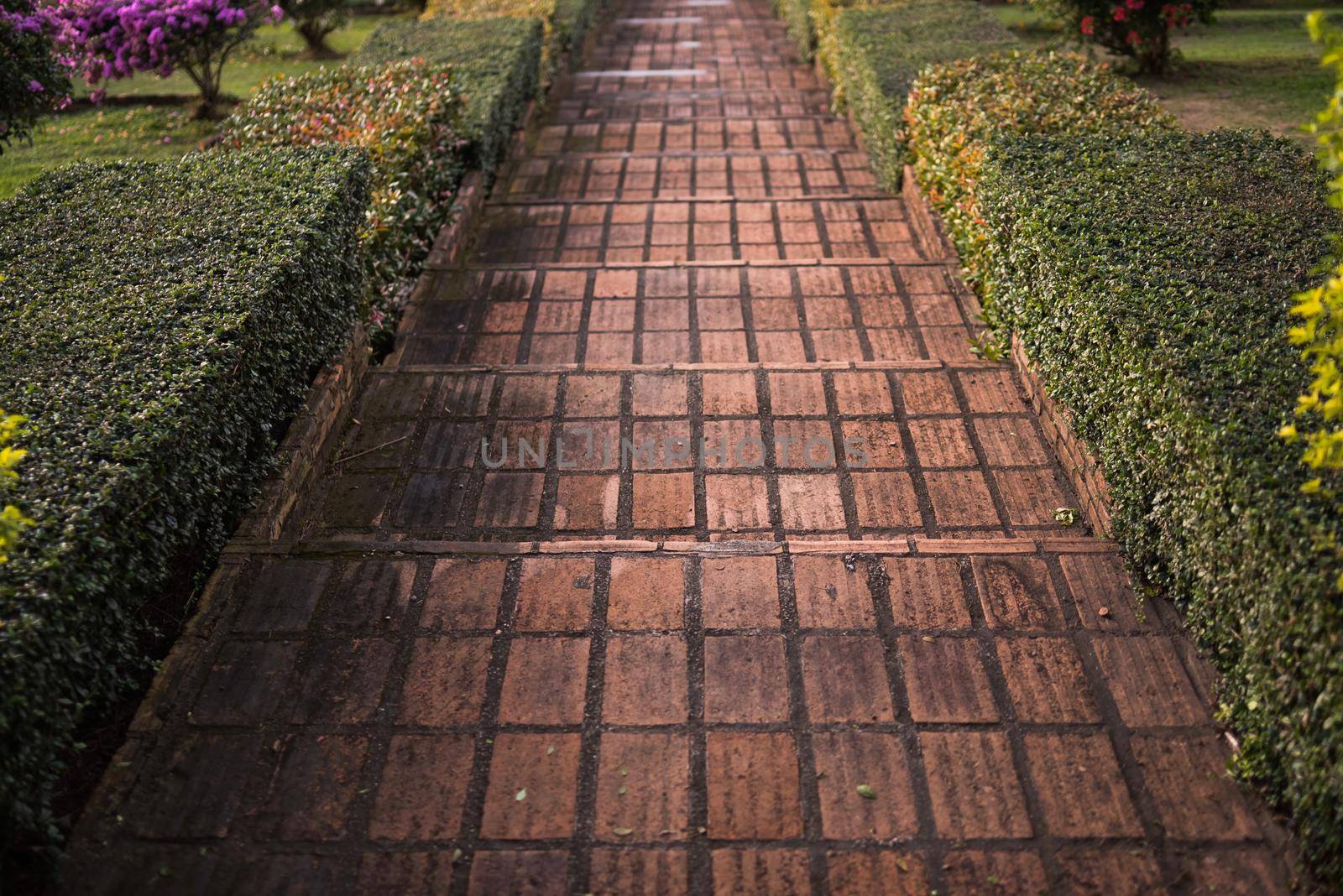 Stairs in the park in the evening by Wmpix