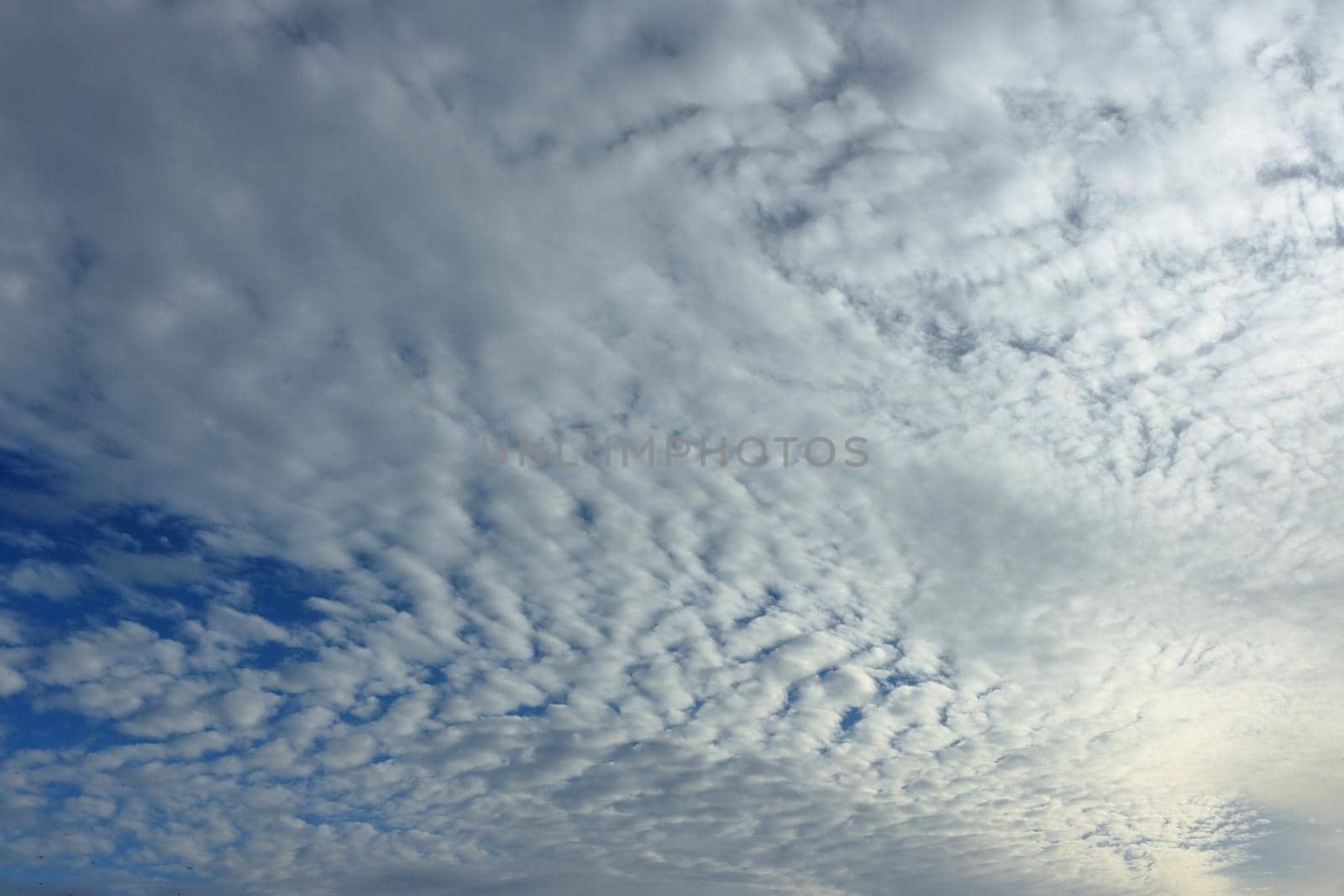 collection of natural landscape photography, sky and clouds in various shapes