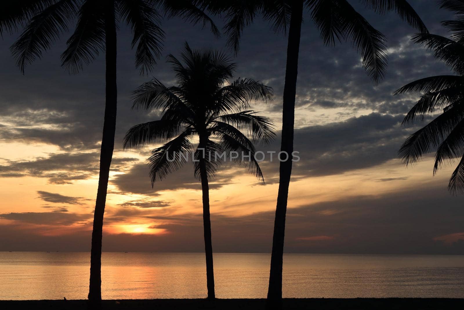 set of pictures sunrise and coconut trees by nuisk17