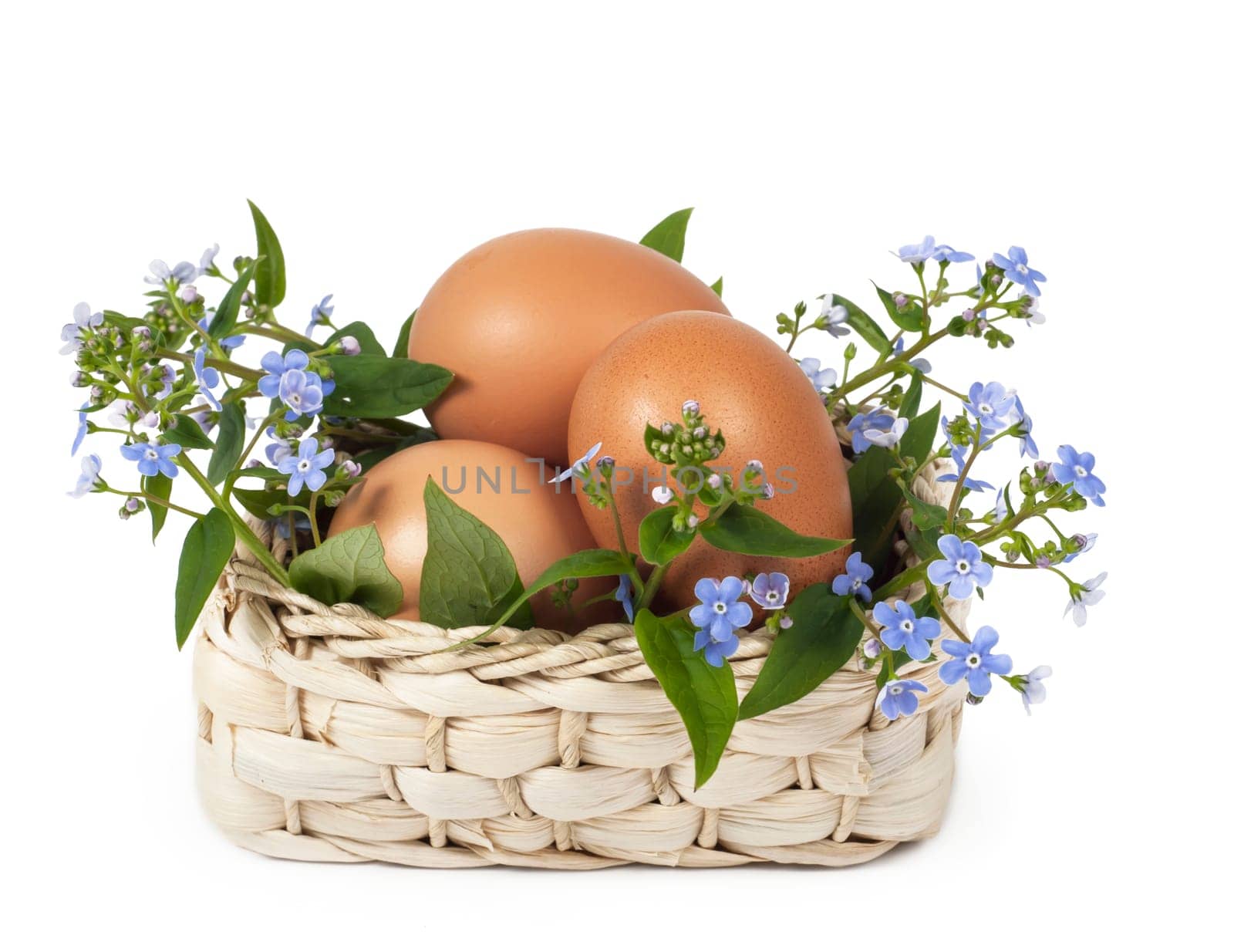Easter card. Blue forget-me-not and eggs lie in basket on white background by aprilphoto