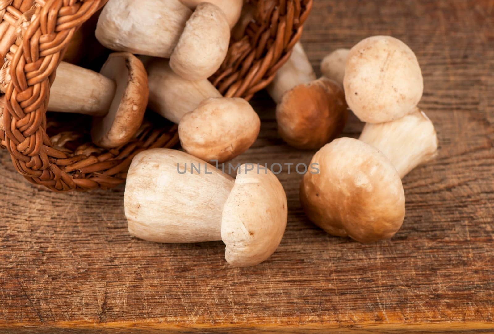 White forest mushrooms in basket on wooden table. Forest gifts by aprilphoto