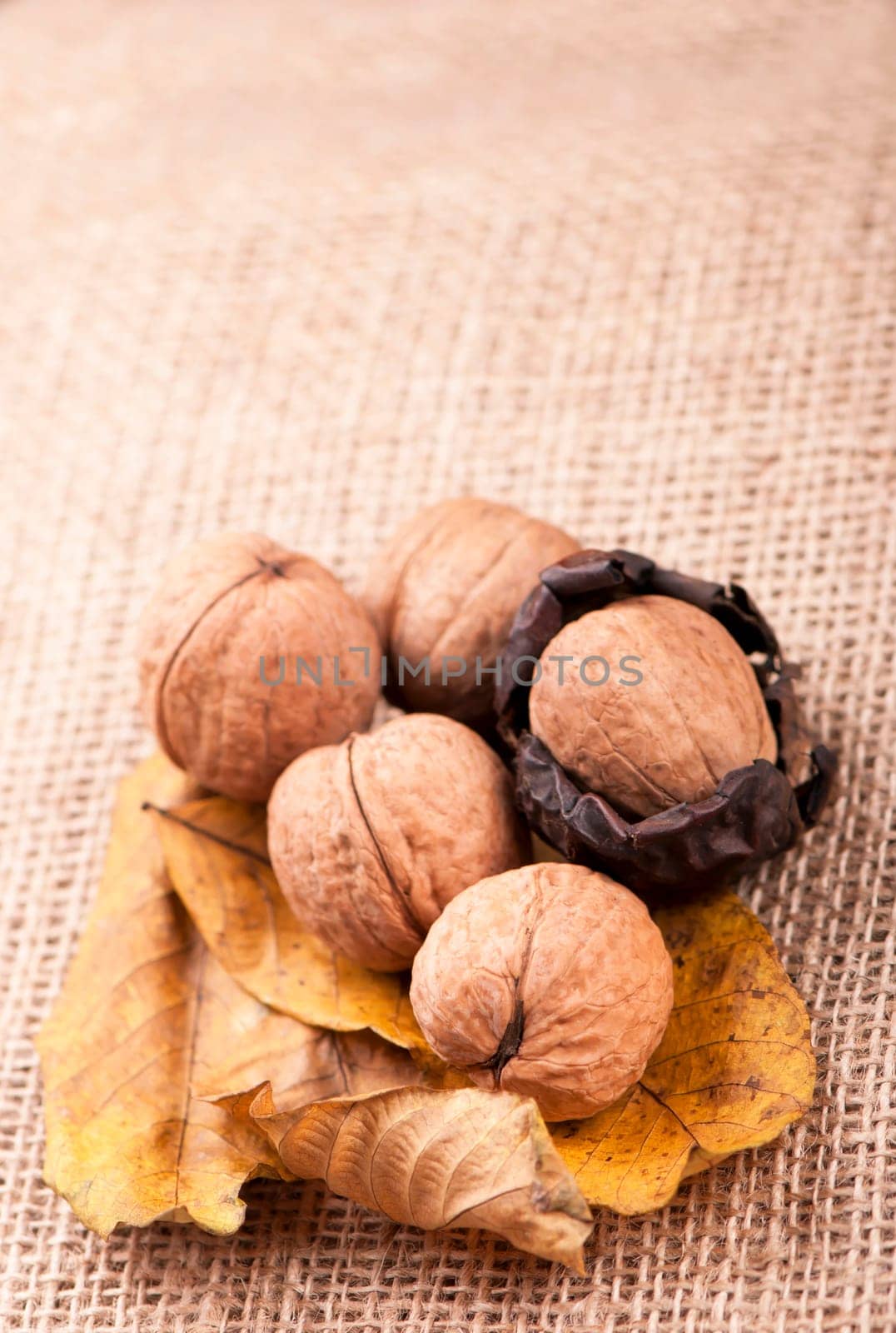 group of big walnuts with dry leaves on burlap on a wooden background by aprilphoto