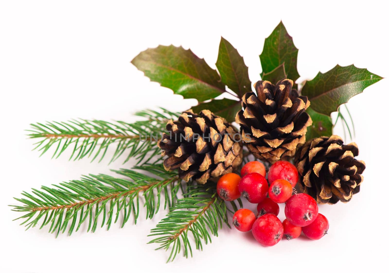 Christmas seasonal border of holly, mistletoe, sprigs with pine cones over white background