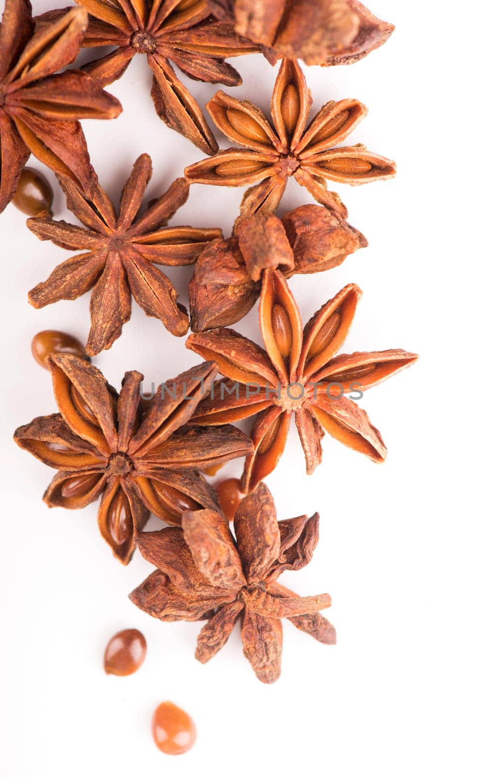 Whole Star Anise isolated on white background with shadow