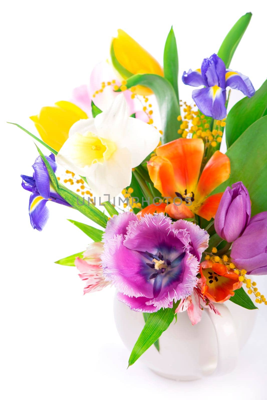 spring flowers, daffodils, tulips, hyacinths, irises and mimosa isolated on a white background by aprilphoto