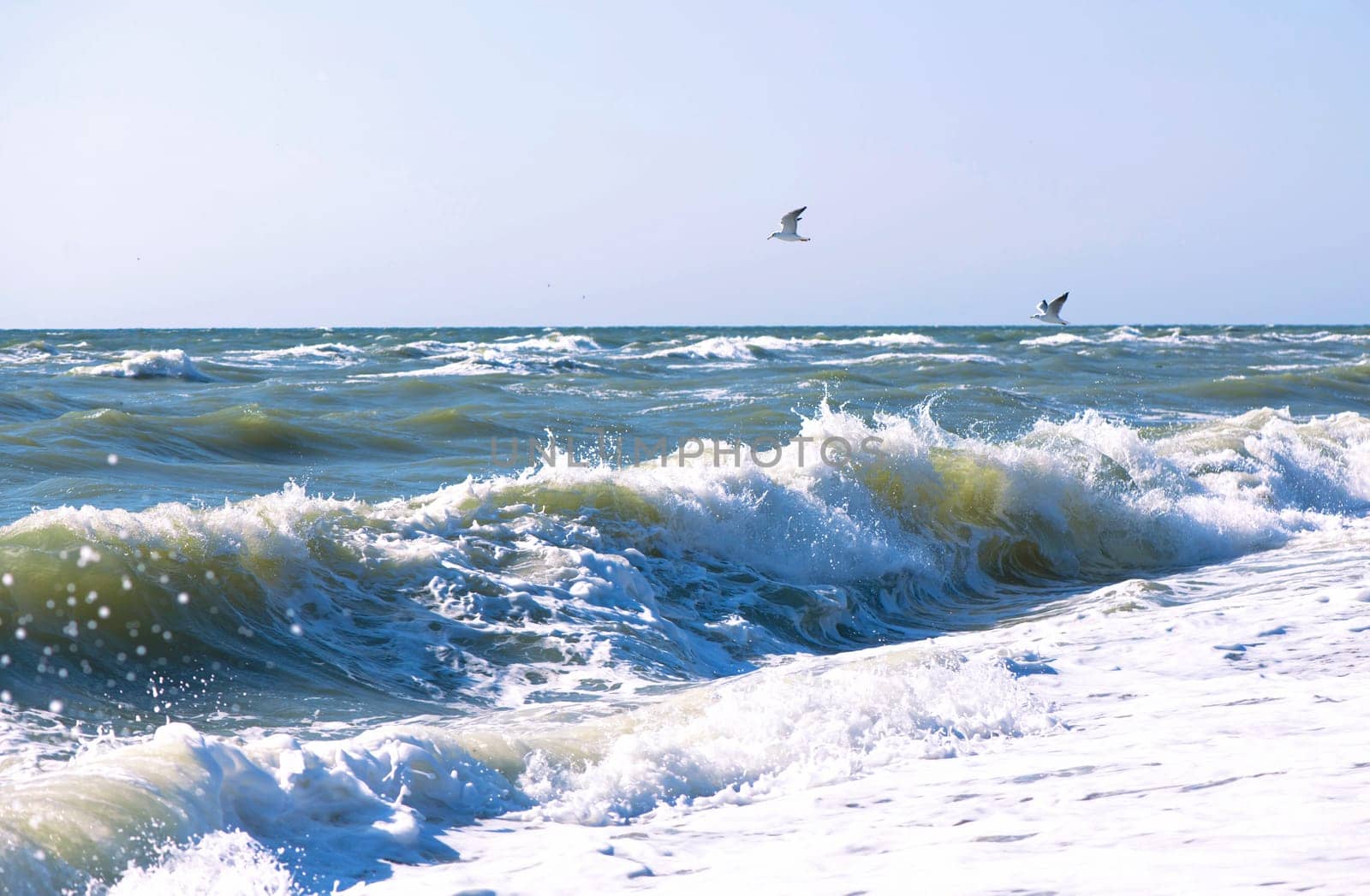 The sea is stormy. Sea of Azov. Water's edge, sea, wave, storm - marine natural background by aprilphoto