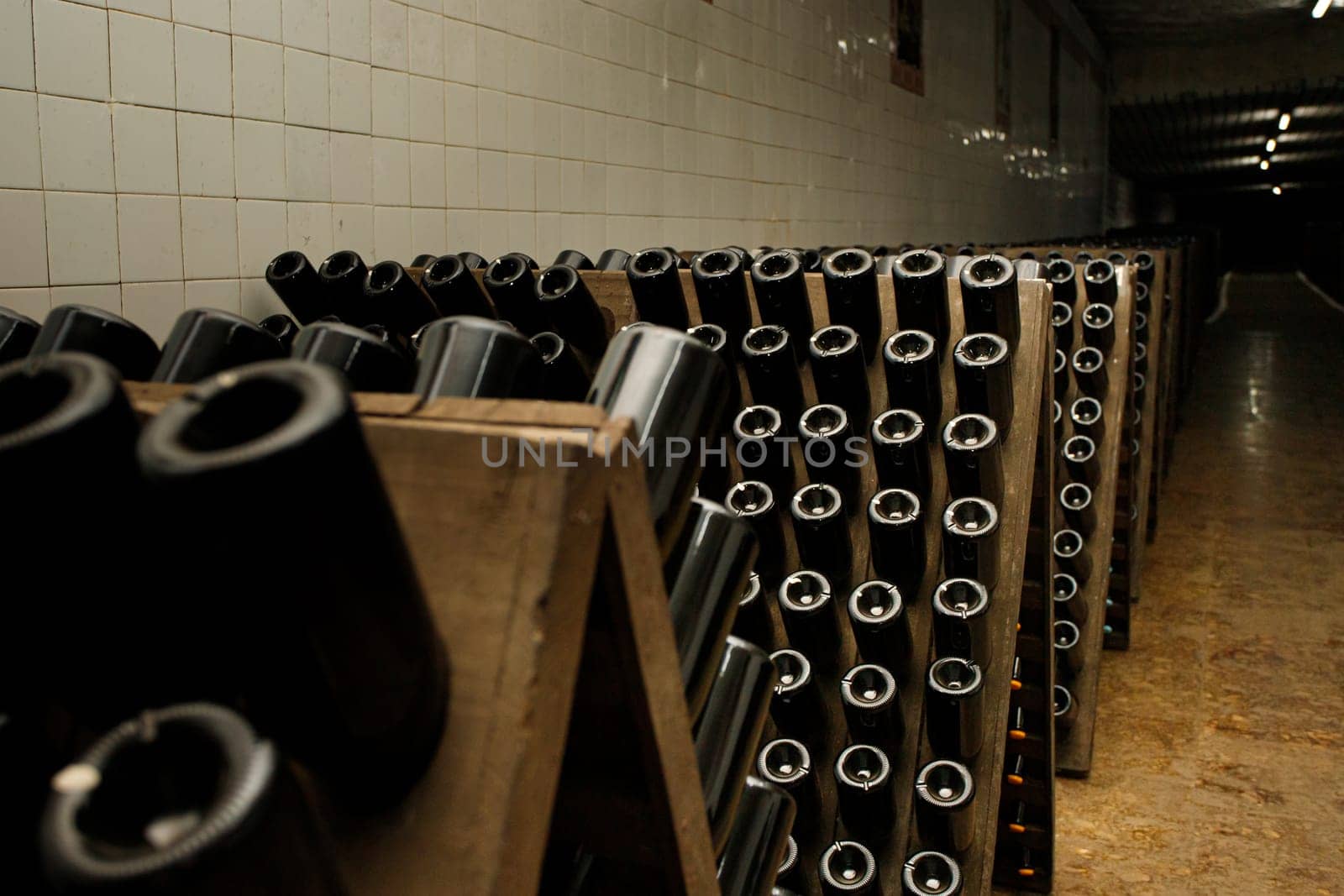 Dusty wine bottles aging in a cellar