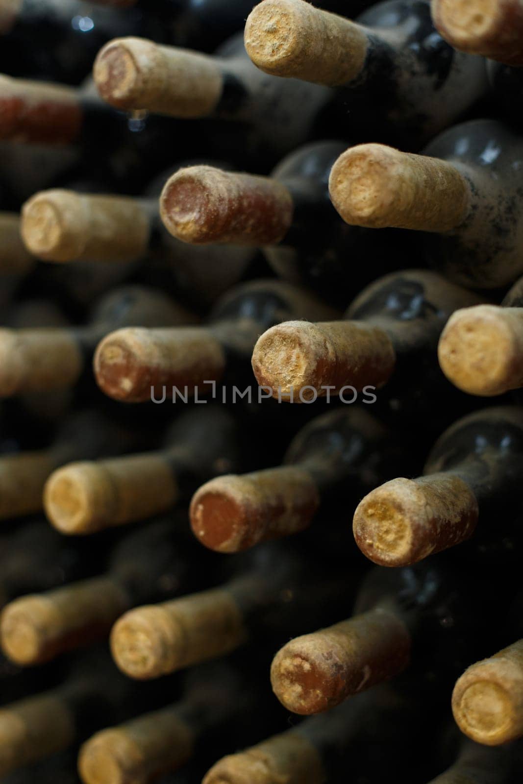 Dusty wine bottles aging in a cellar