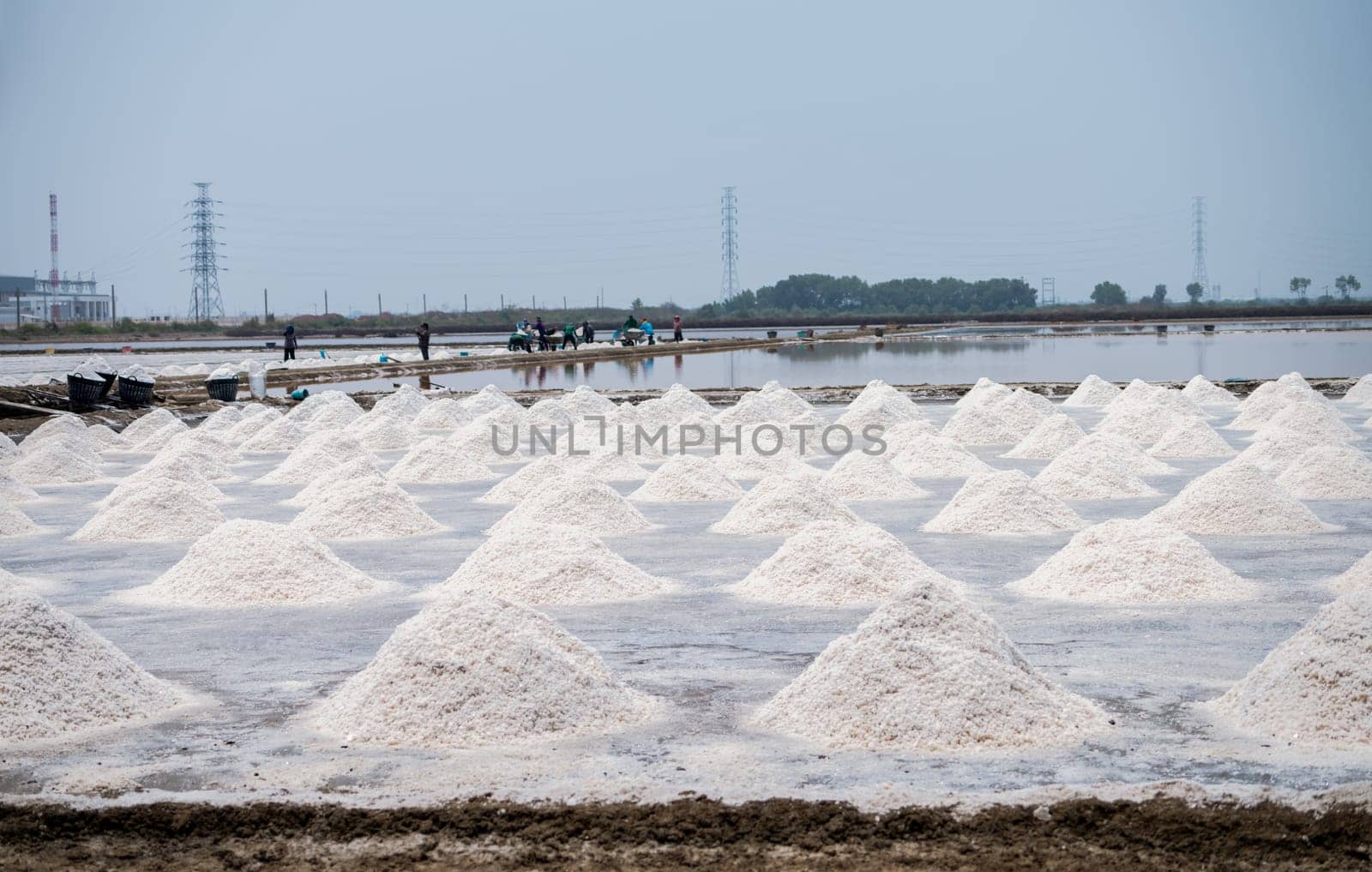 Sea salt farm in Thailand. Brine salt. Raw material of salt industrial. Sodium Chloride. Evaporation and crystallization of sea water. Worker working on a farm. Salt harvesting. Agriculture industry.