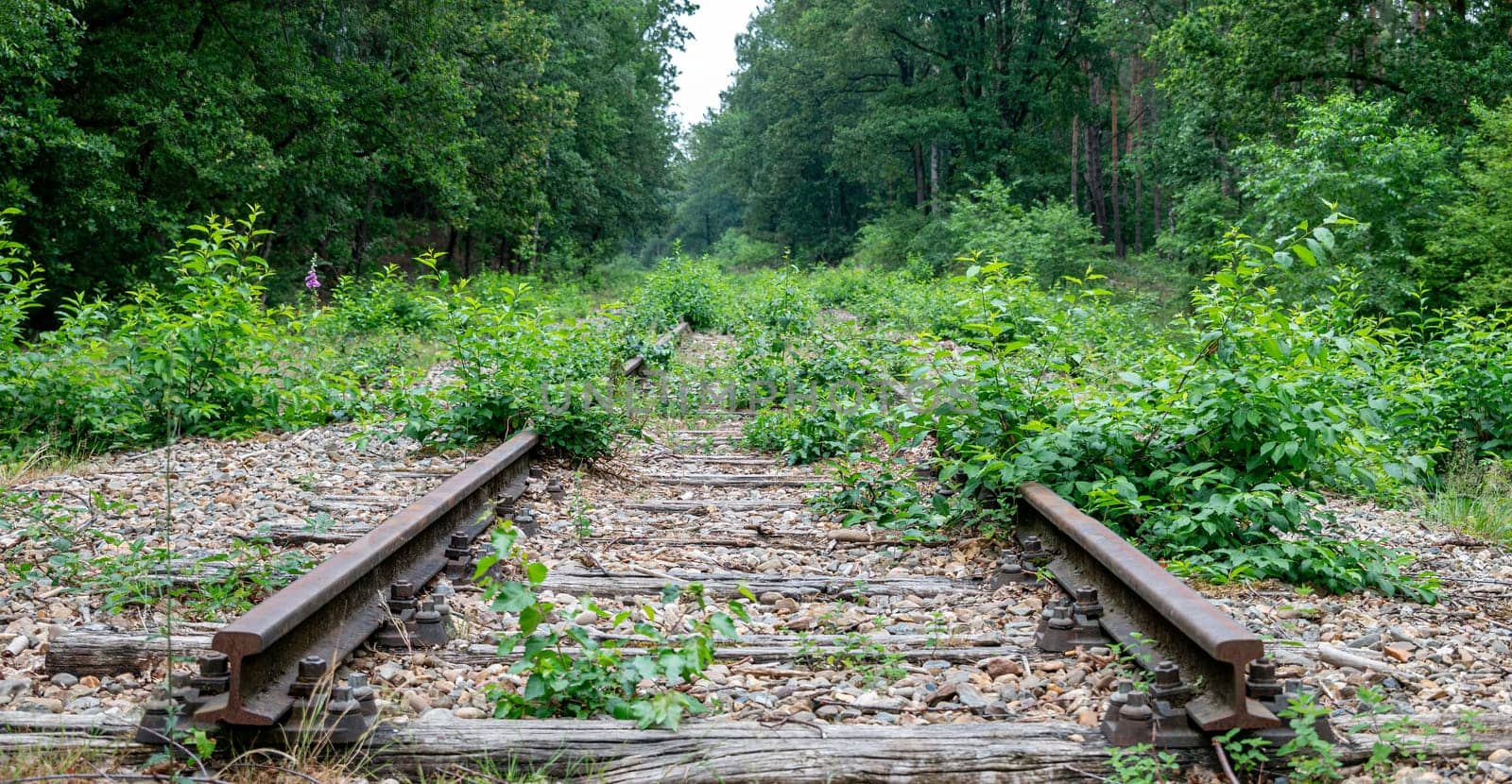 old disused rails in the gravel in the forest panorama by compuinfoto