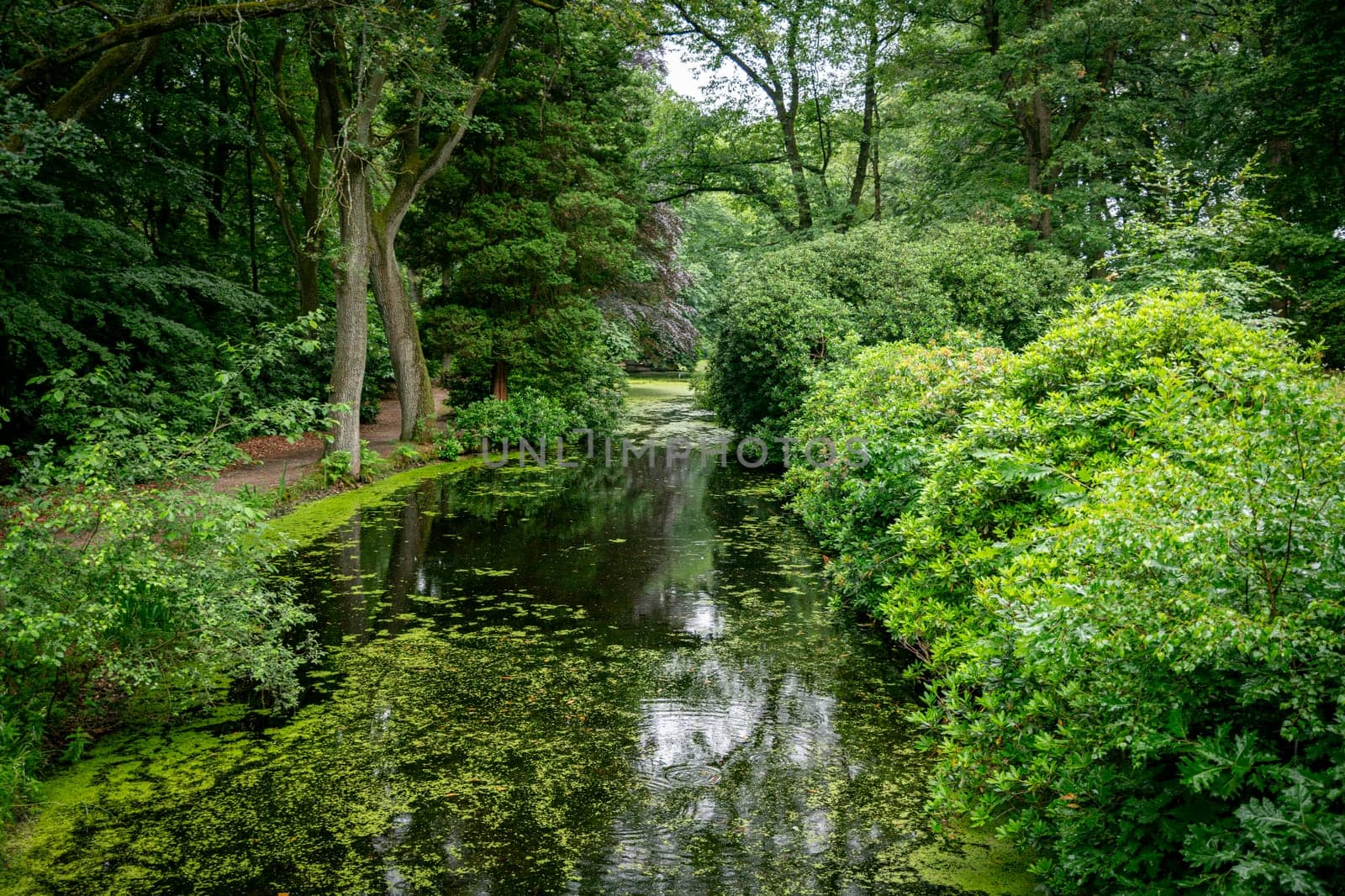 a pond bordered by trees with red and green foliage by compuinfoto