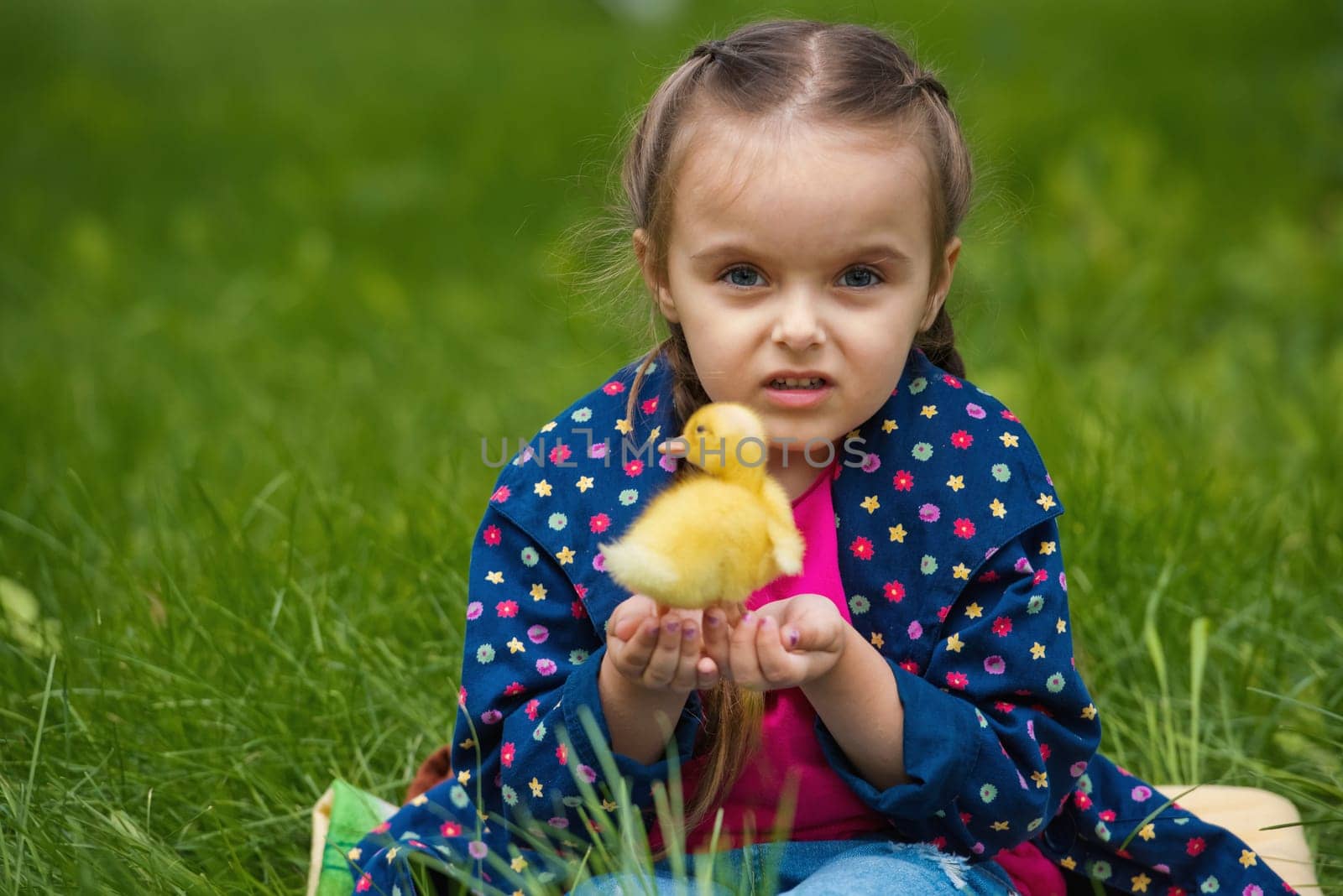 Cute happy little girl with of small duckling in the garden. Little girl holding a duckling in her hands. by leonik