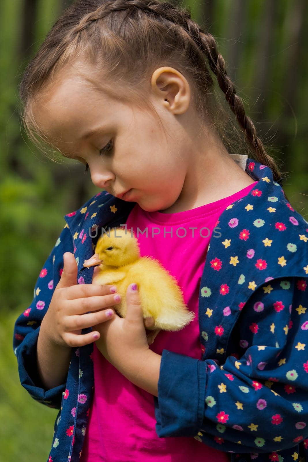 Cute happy little girl with of small duckling in the garden. Little girl holding a duckling in her hands.