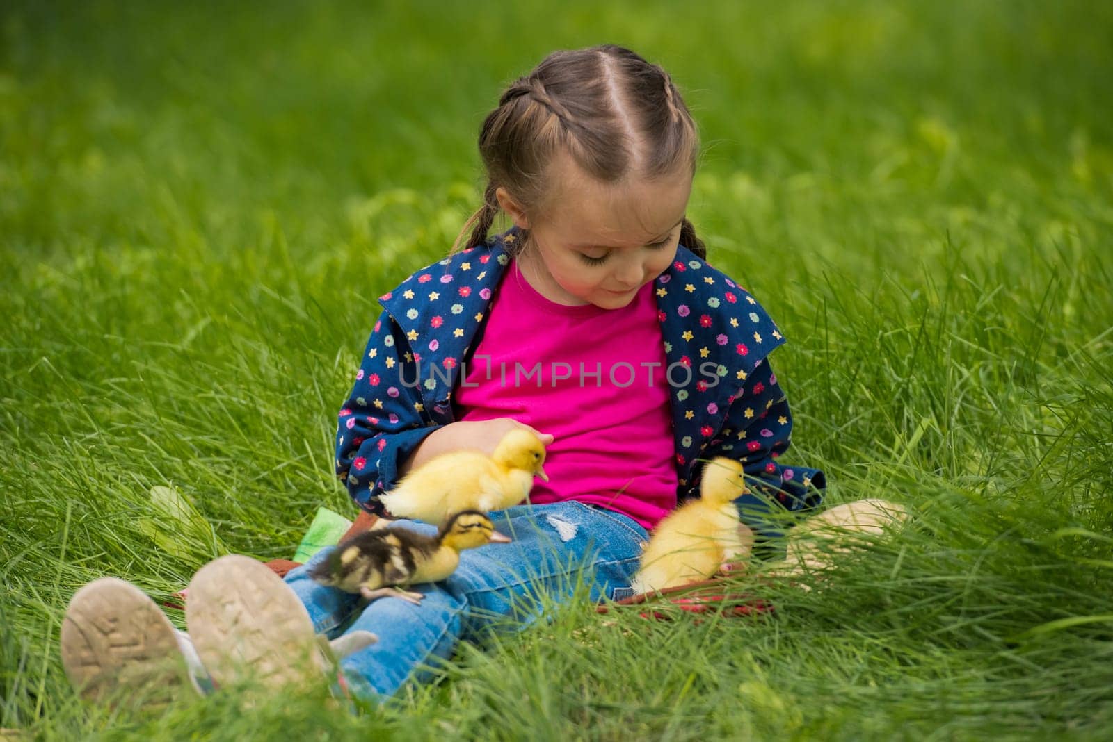 Cute happy little girl with of small ducklings in the garden. Nature background.