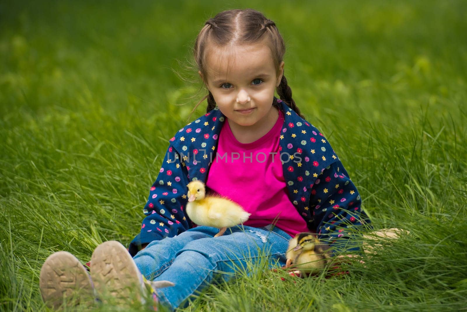 Cute happy little girl with of small ducklings in the garden. Nature background. by leonik