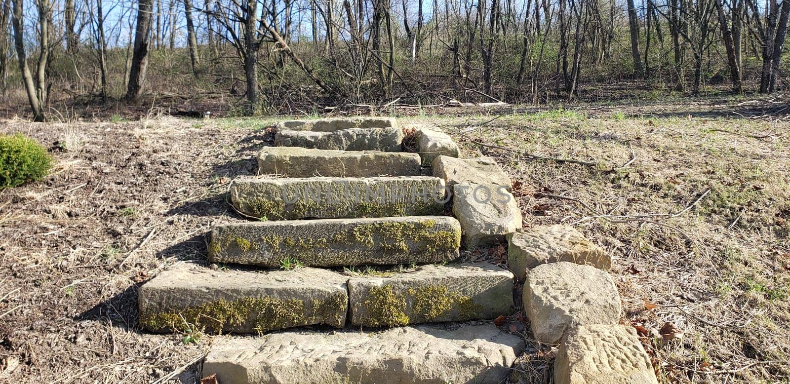 A group of Stone Stairs seen in Early Spring by Txs635